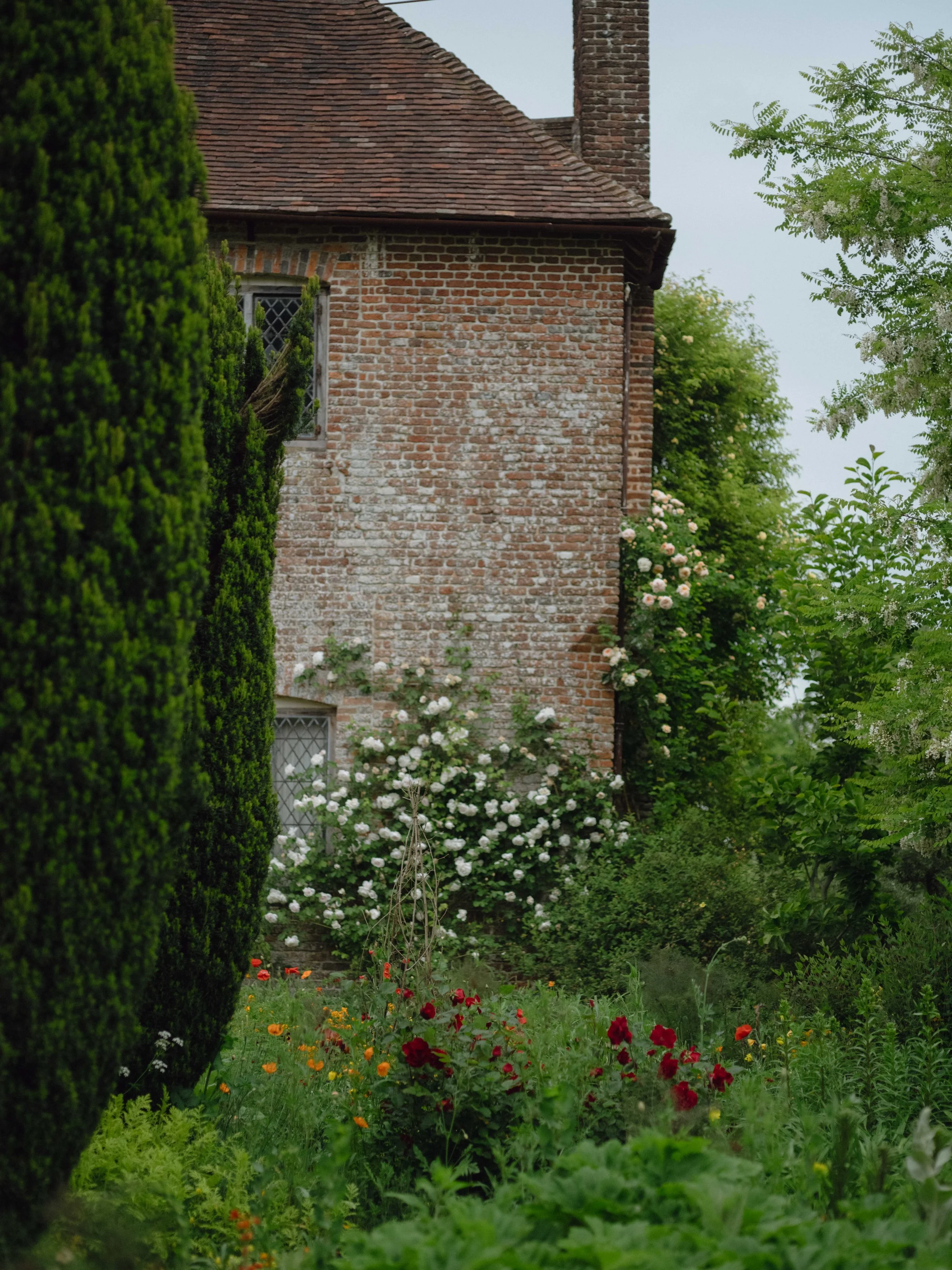 DSCF1026.jpg