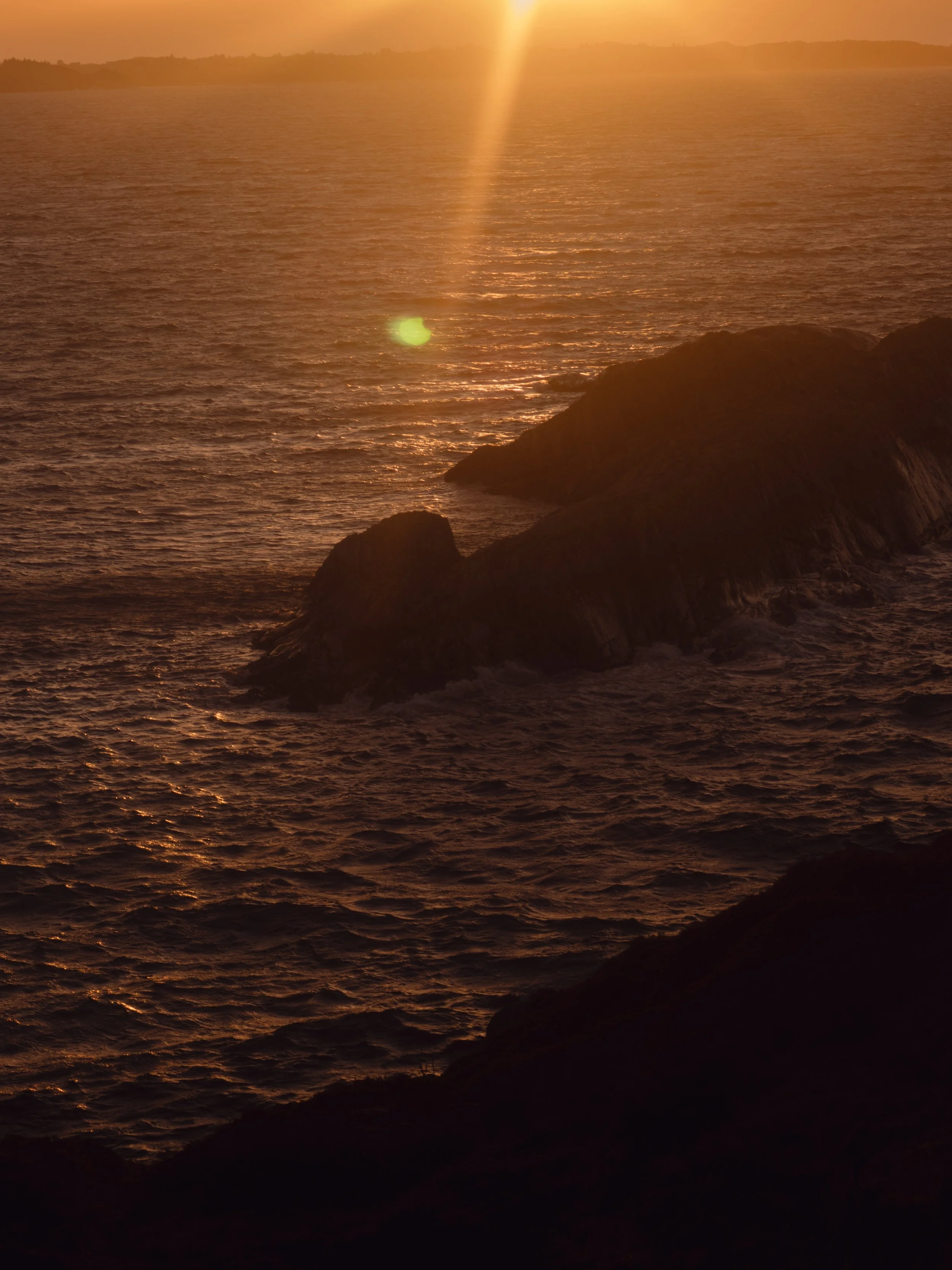 DSCF9467.jpg