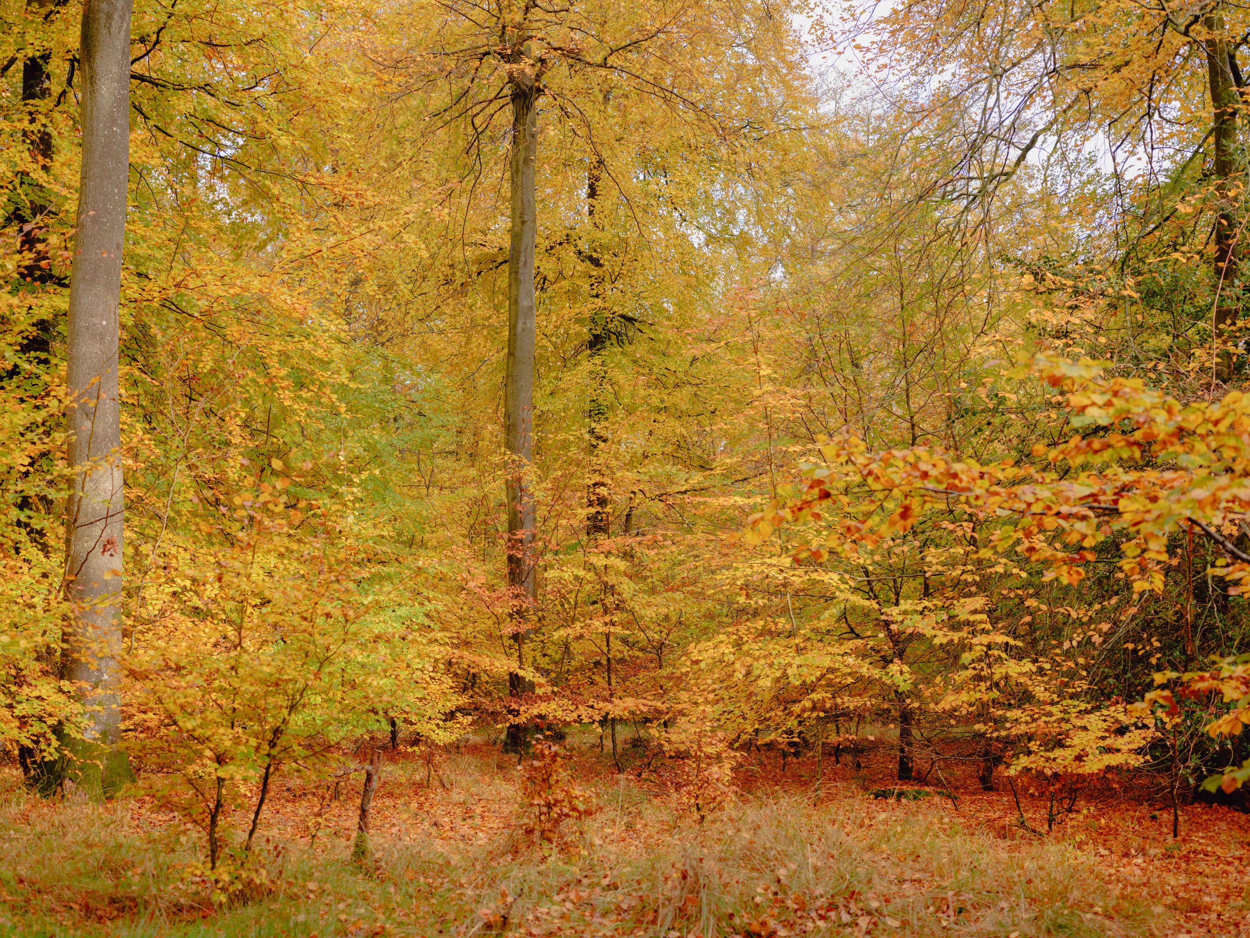 DSCF4623.jpg