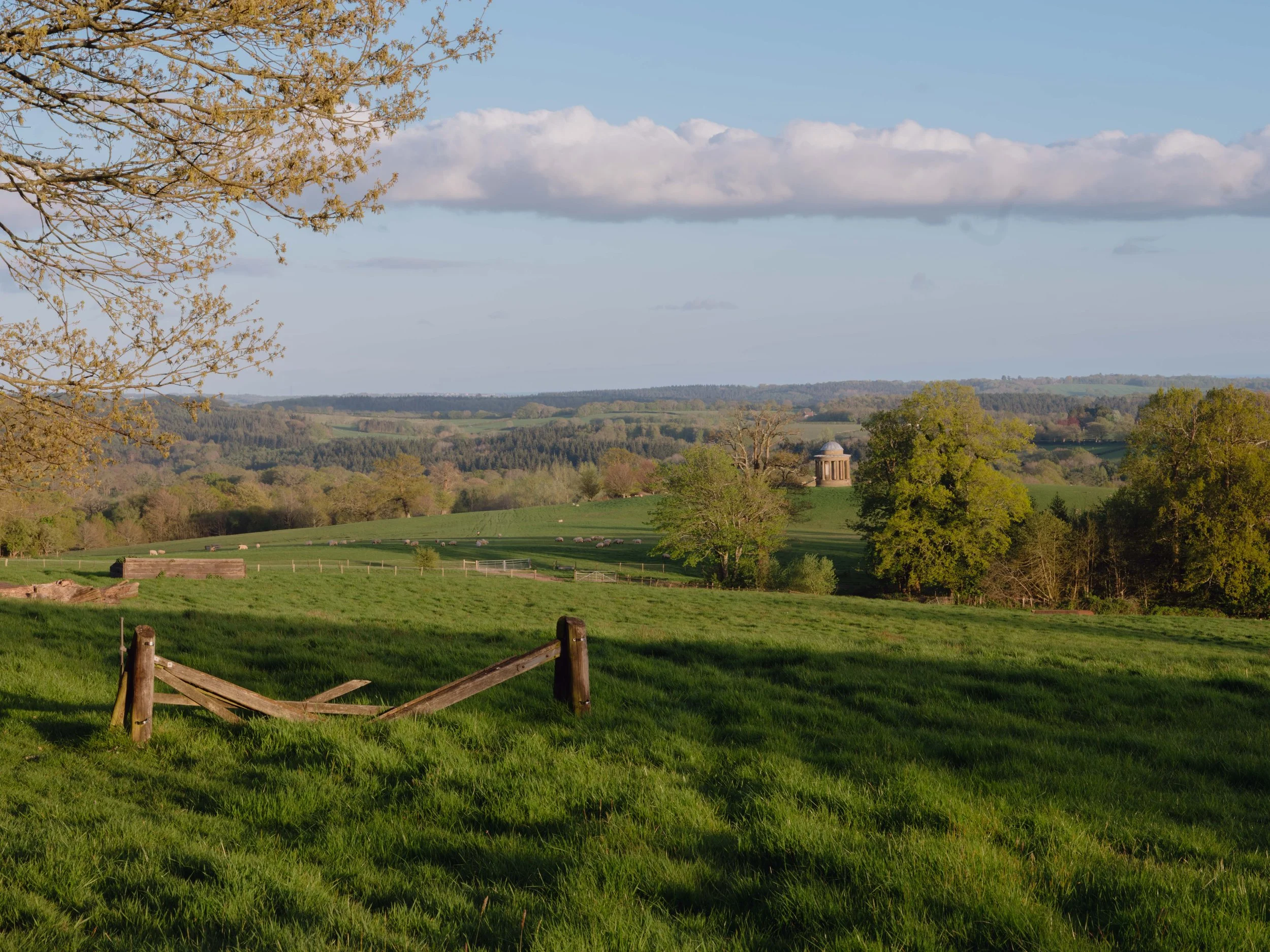 DSCF9311.jpg