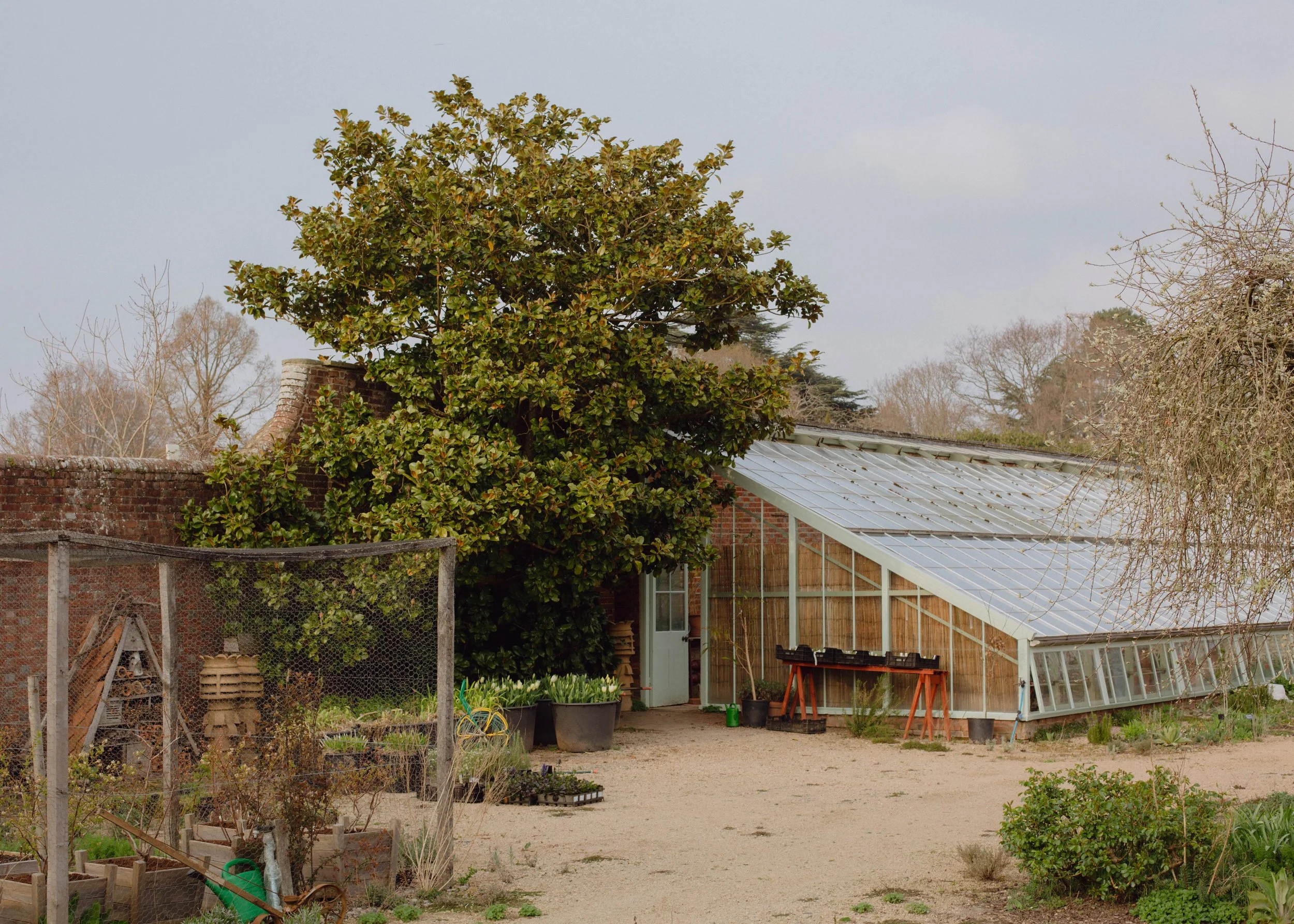 Financial Times - Knepp Rewilding