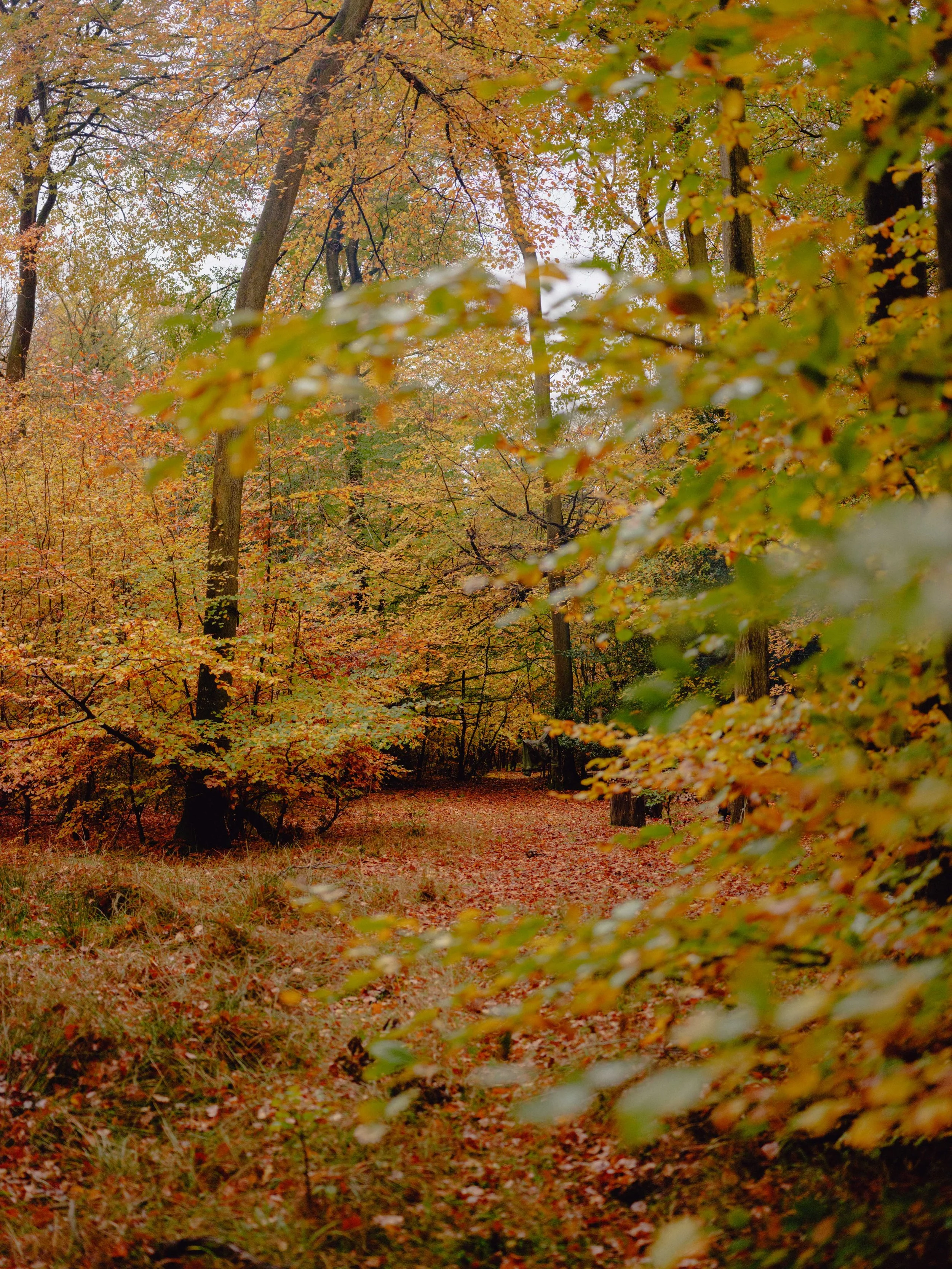 DSCF4716.jpg