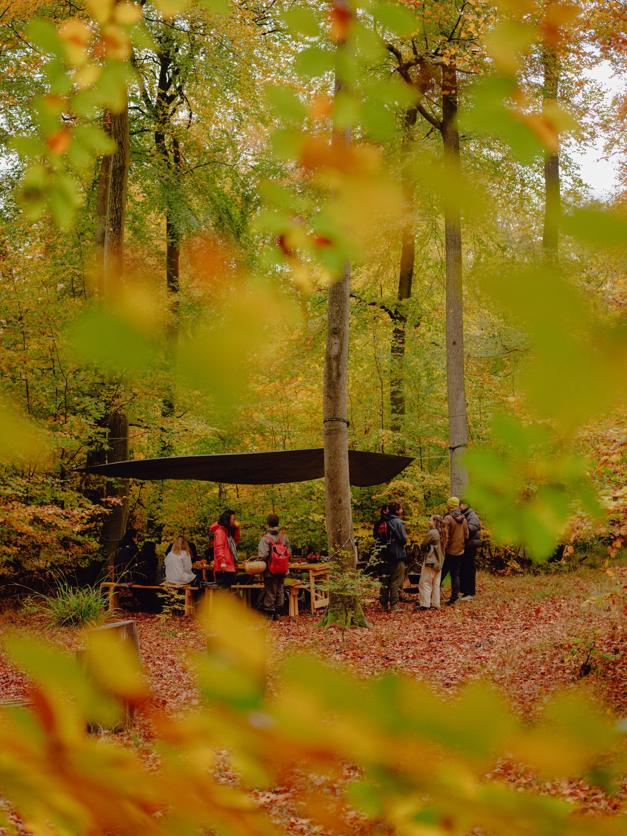 DSCF4445.jpg