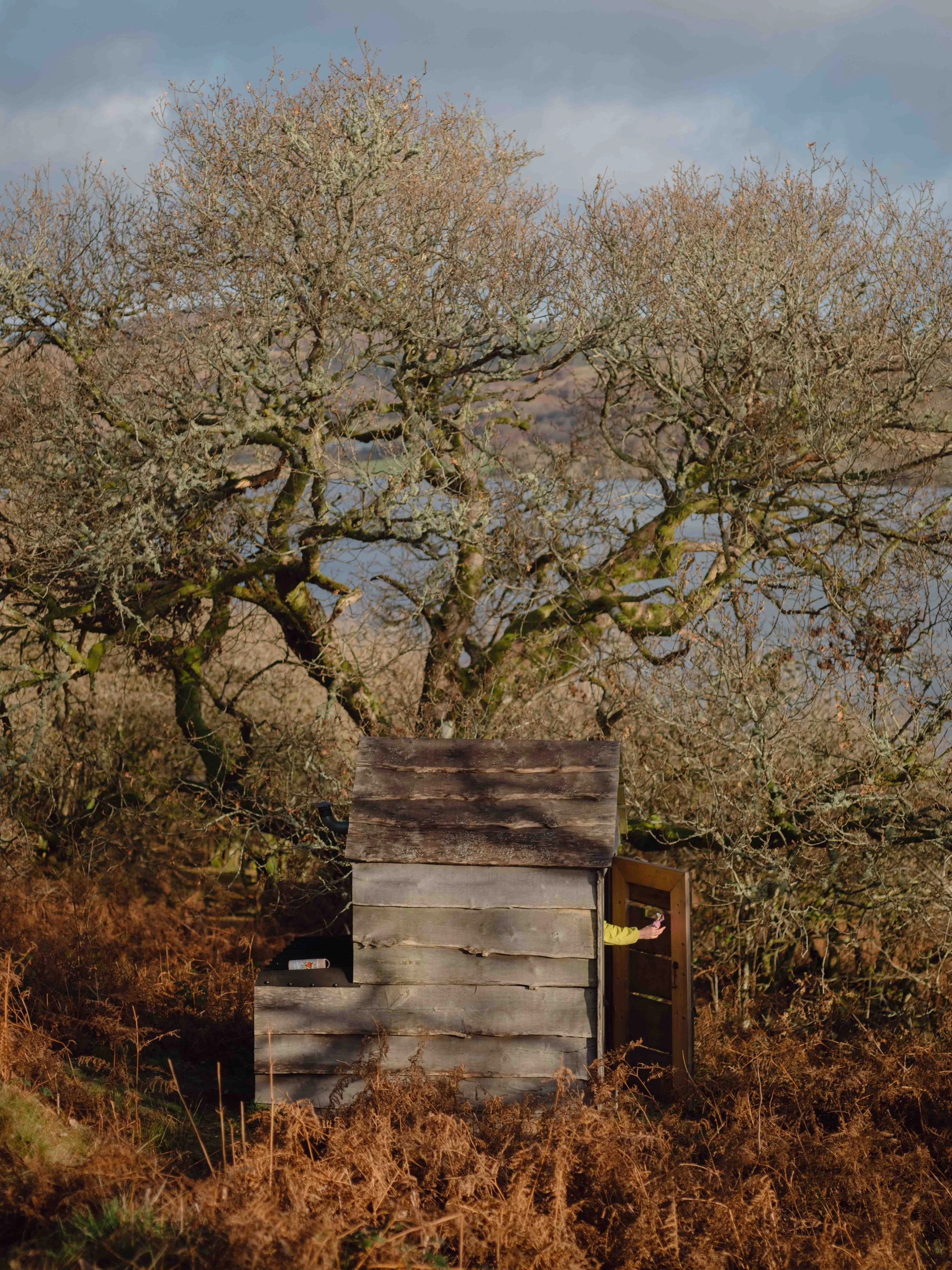 DSCF5496.jpg
