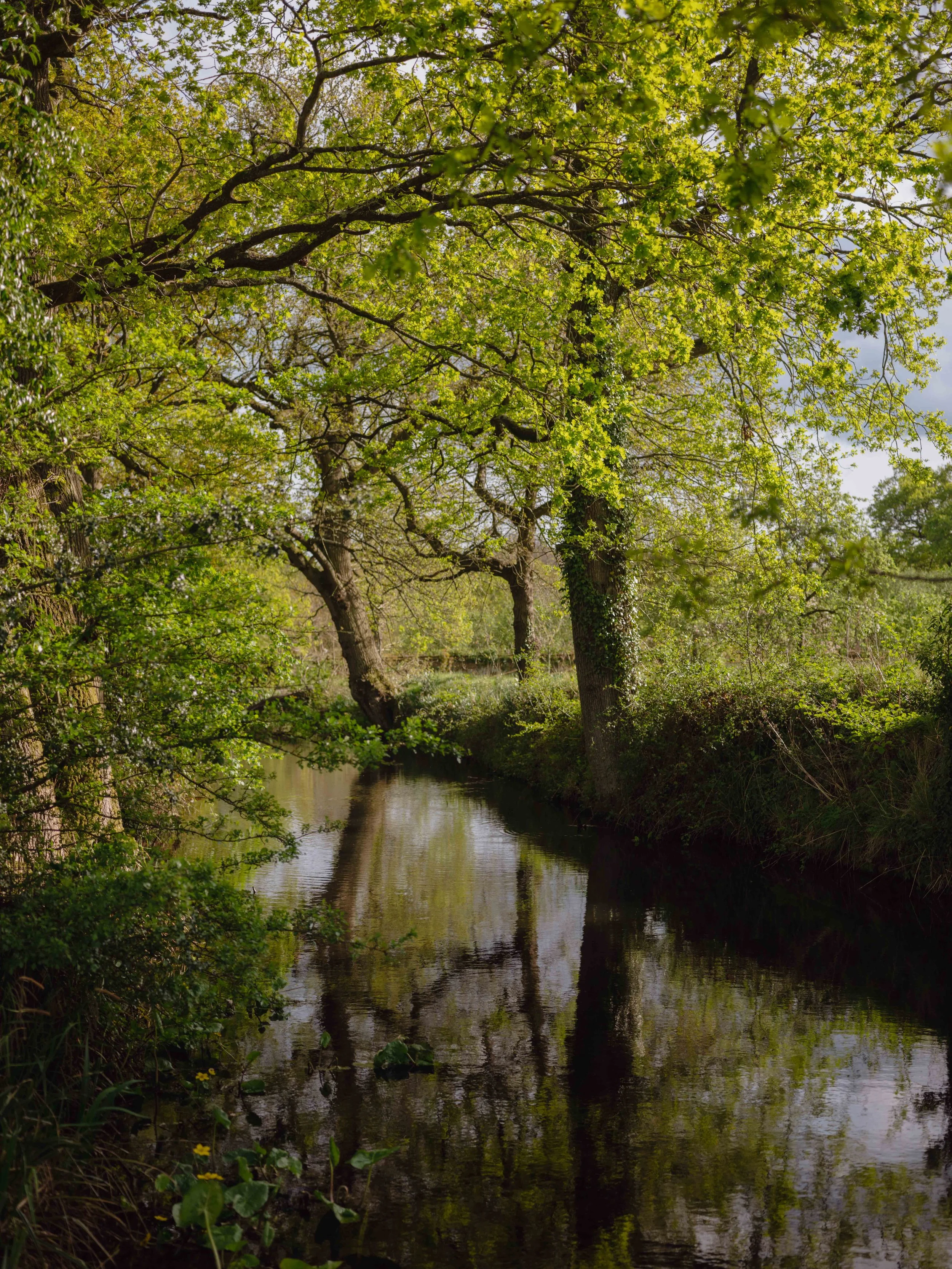 DSCF9144.jpg
