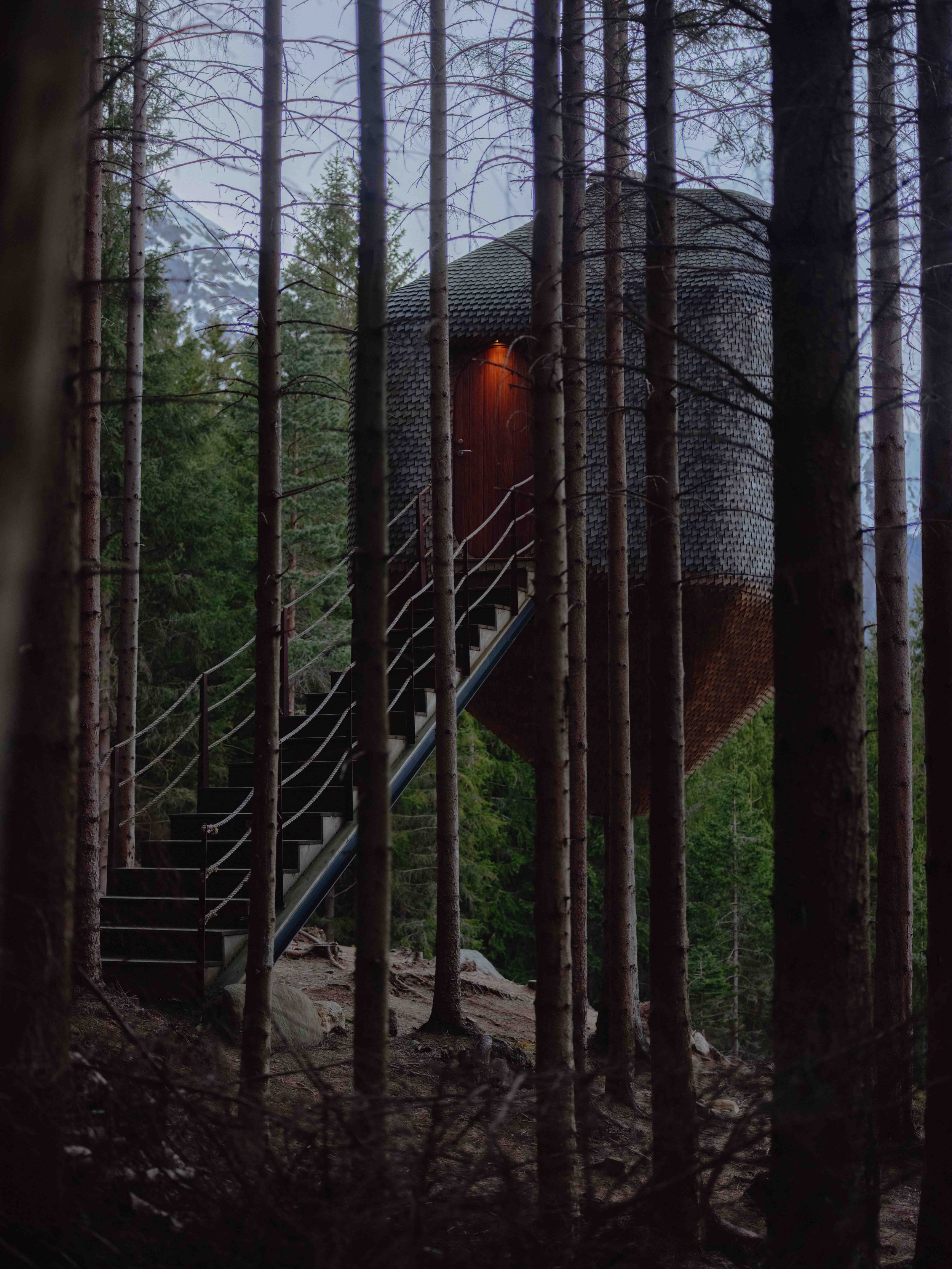 Woodnest, Norway