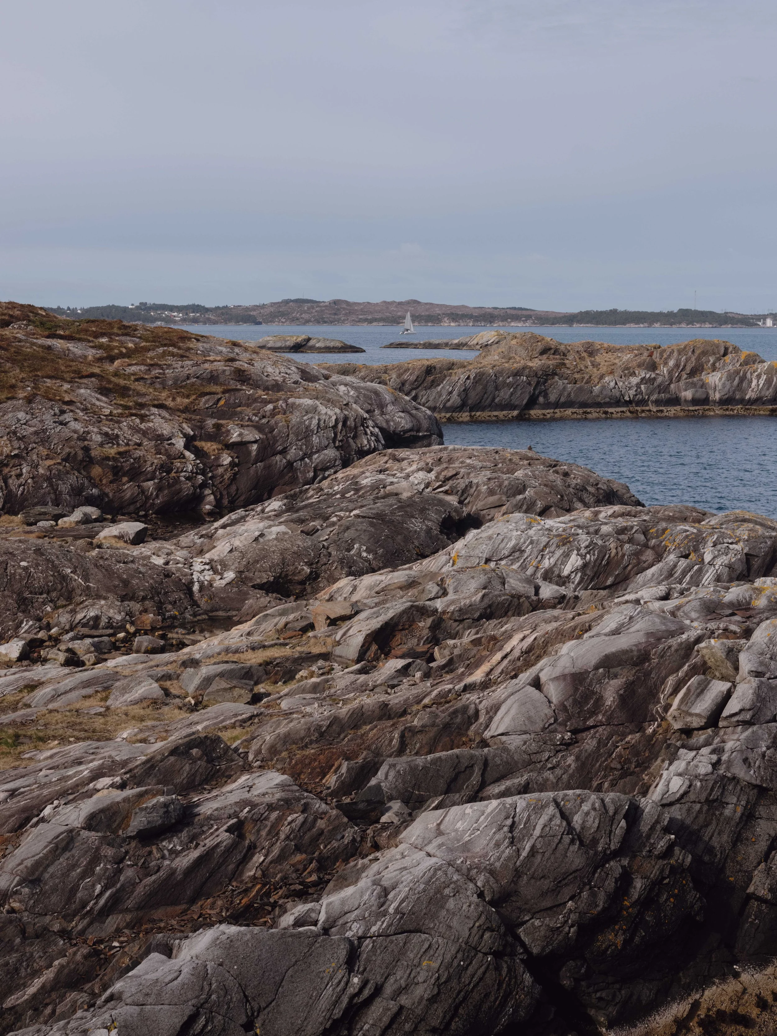 DSCF9660.jpg
