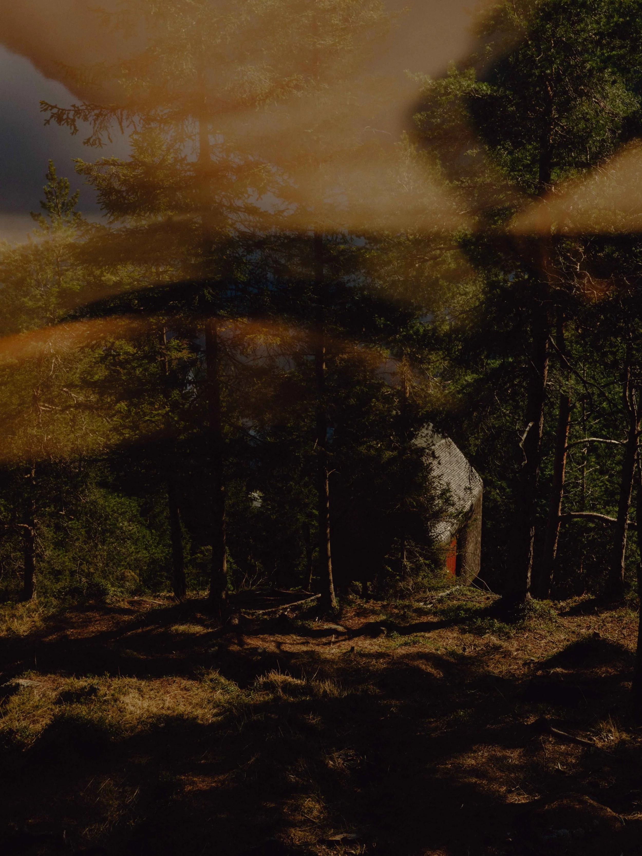 DSCF0431.jpg