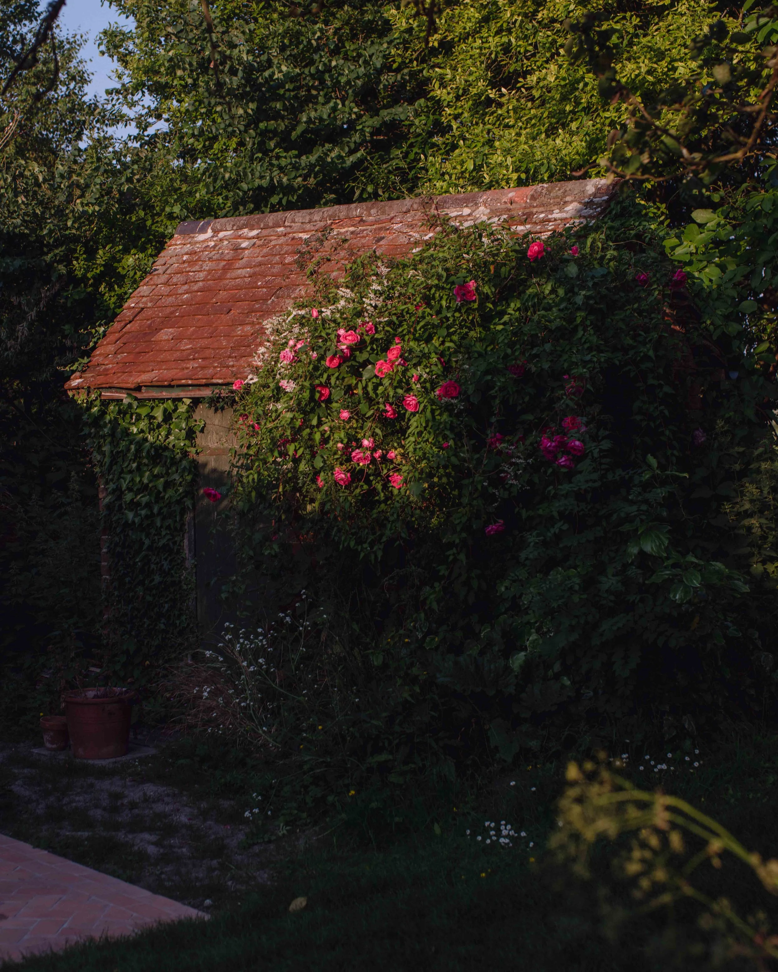 DSCF1738-Edit.jpg