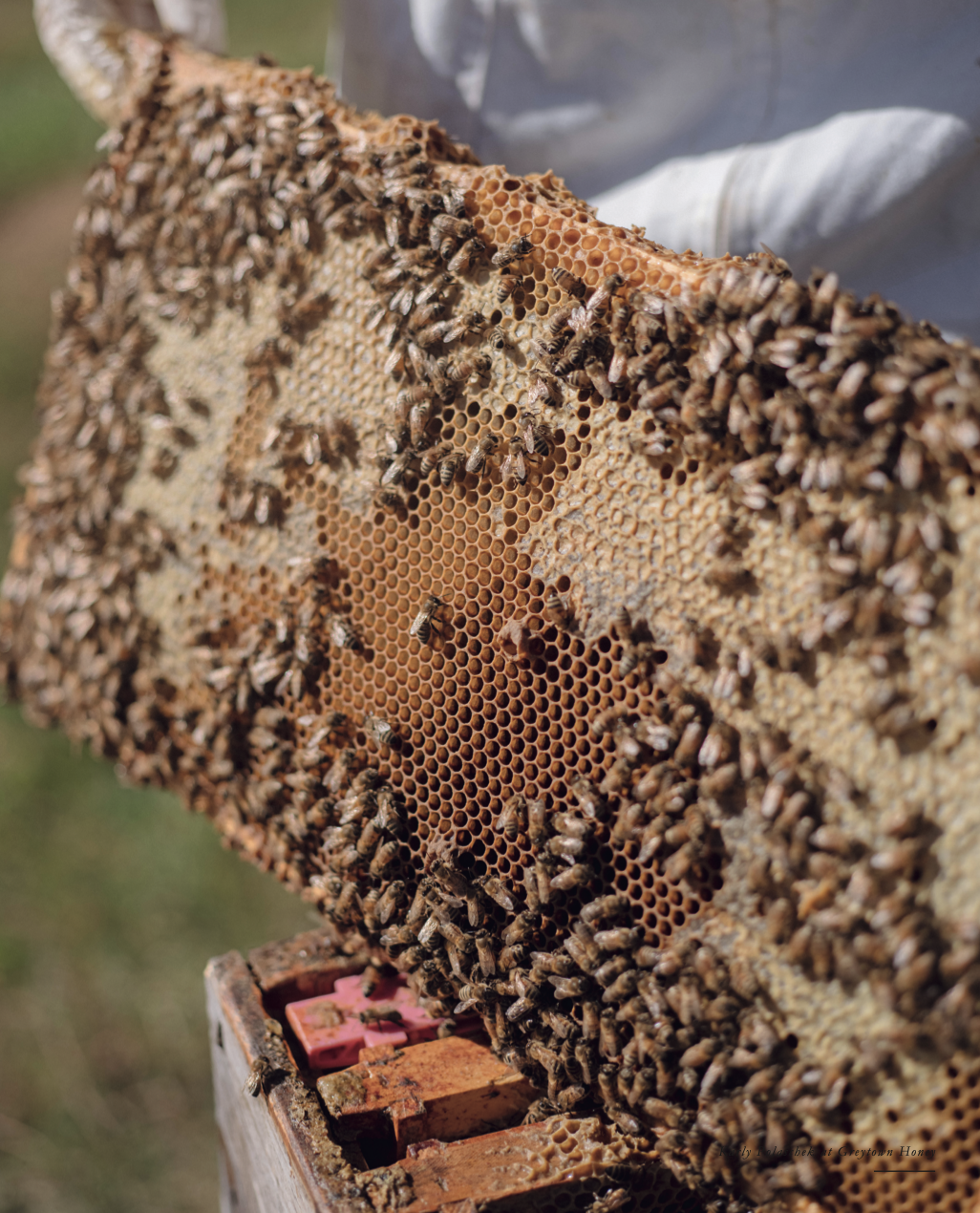 Screenshot 2026-02-12 at 20.44.03.png