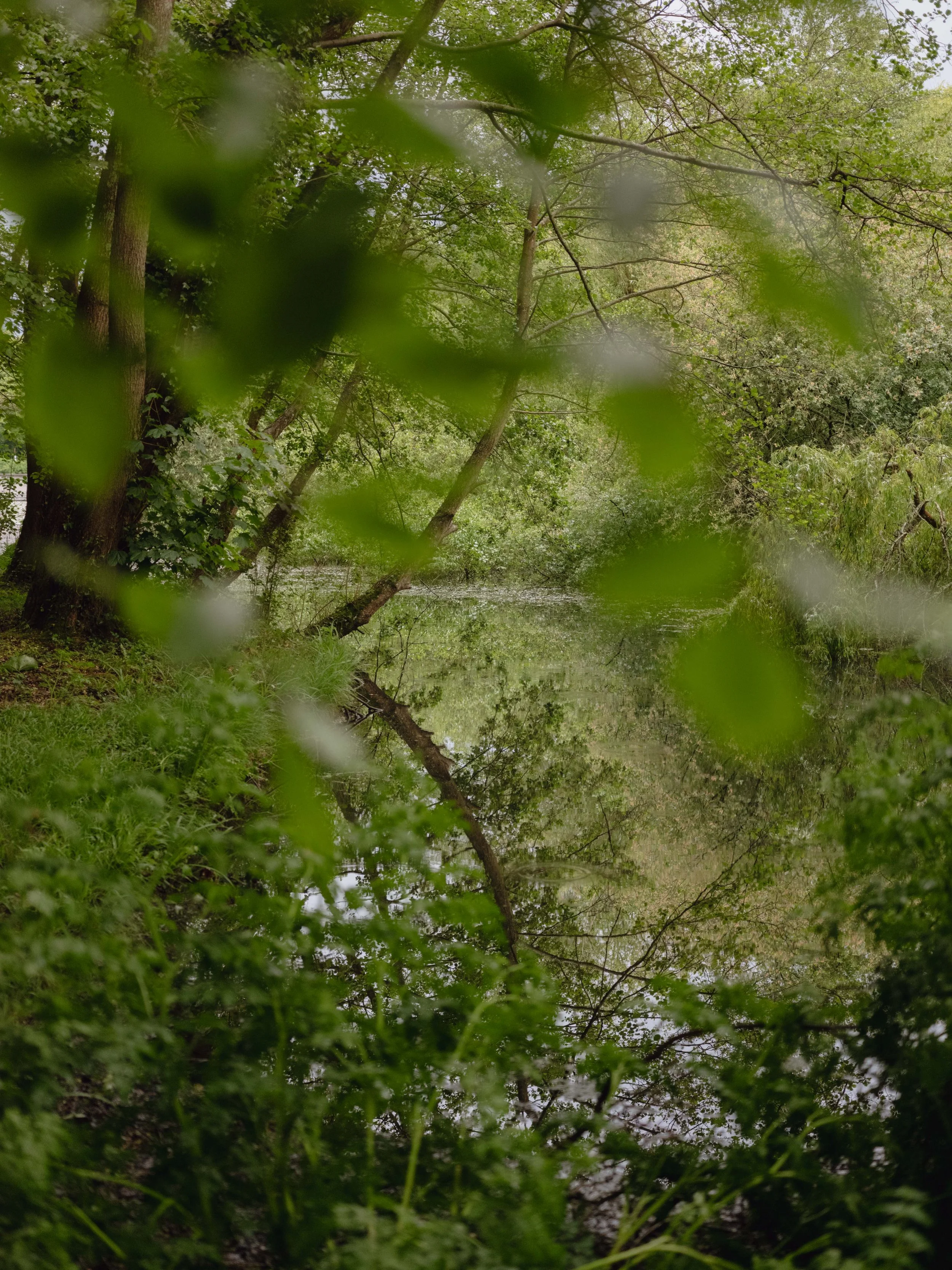 DSCF1659.jpg