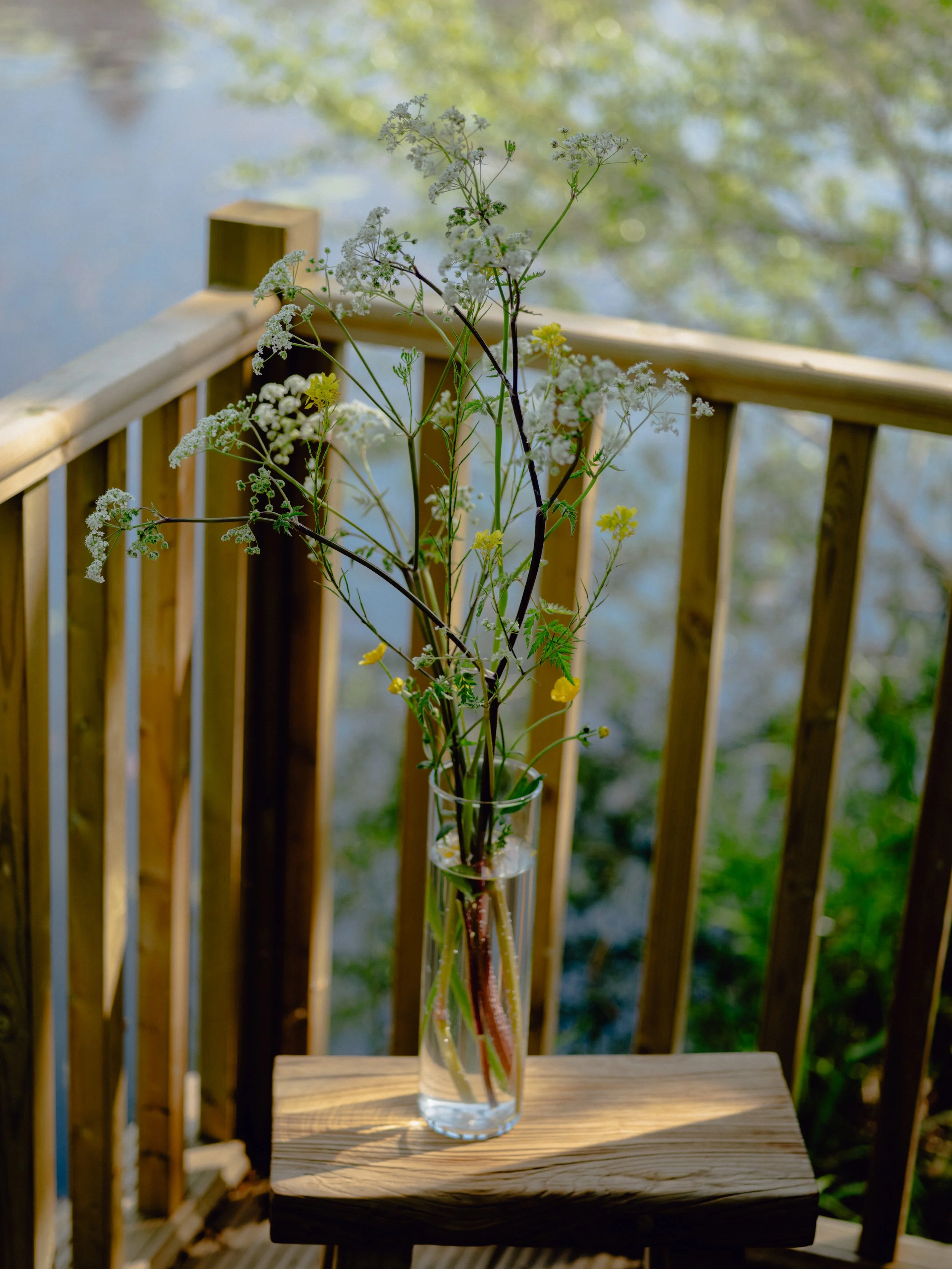 DSCF1134.jpg