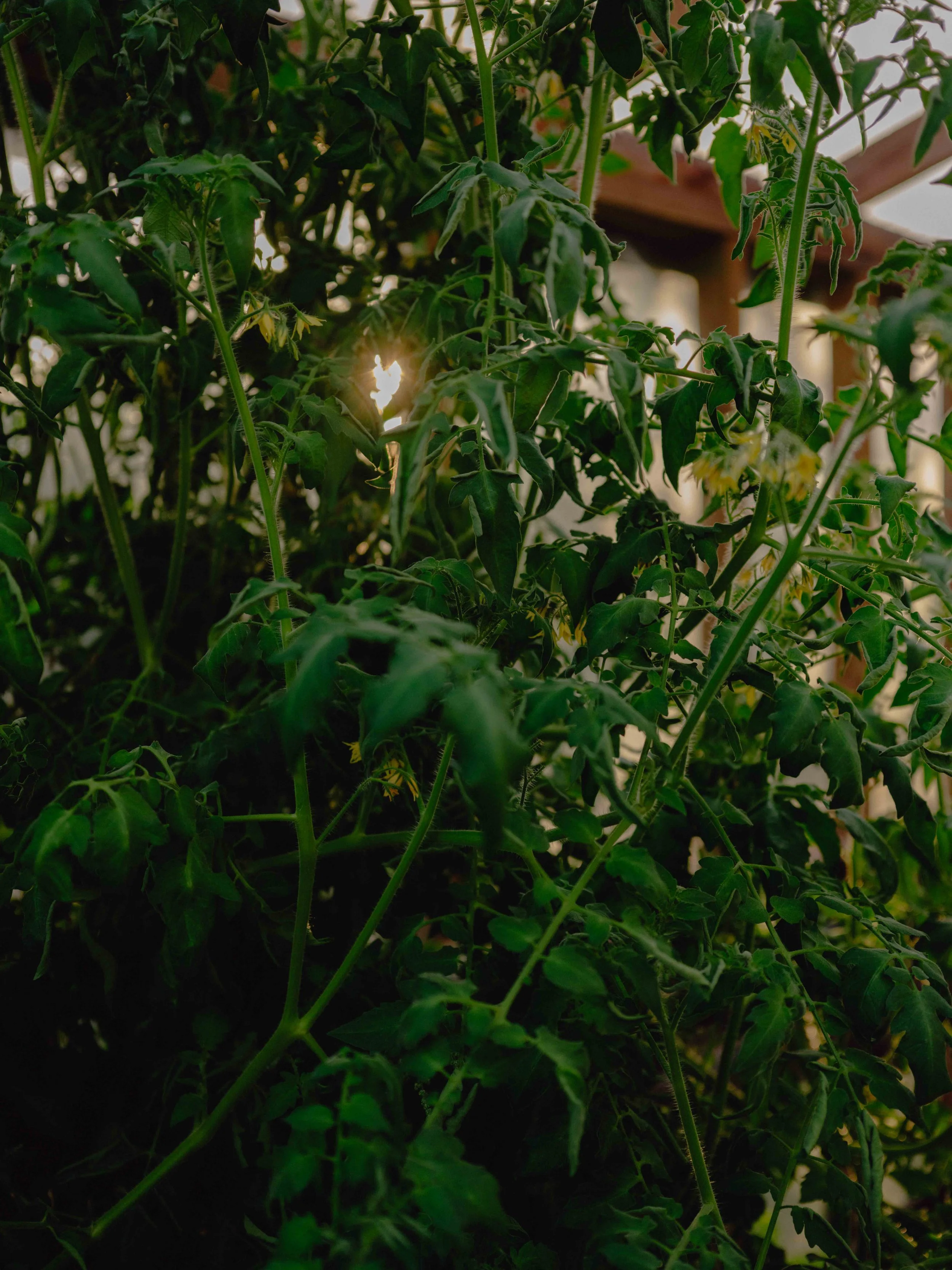 DSCF0302.jpg