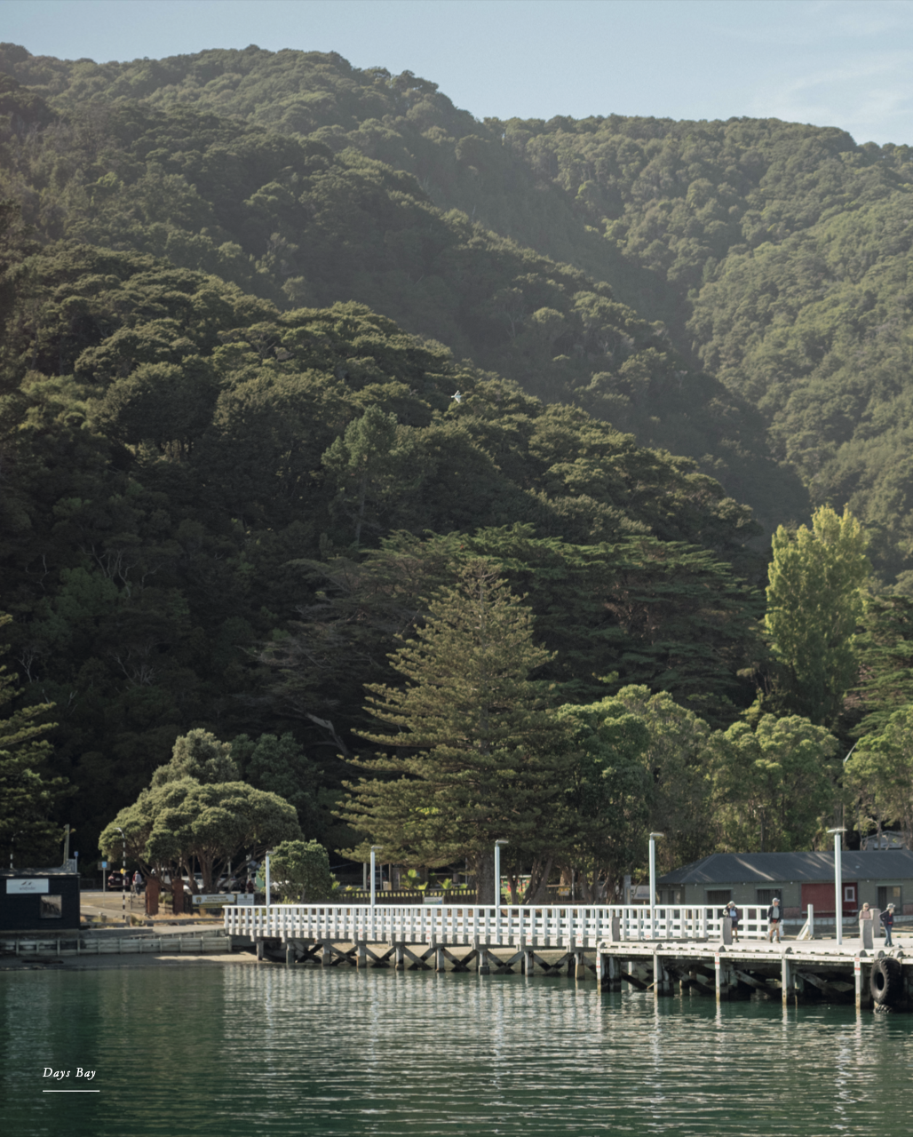 Screenshot 2026-02-12 at 20.44.11.png