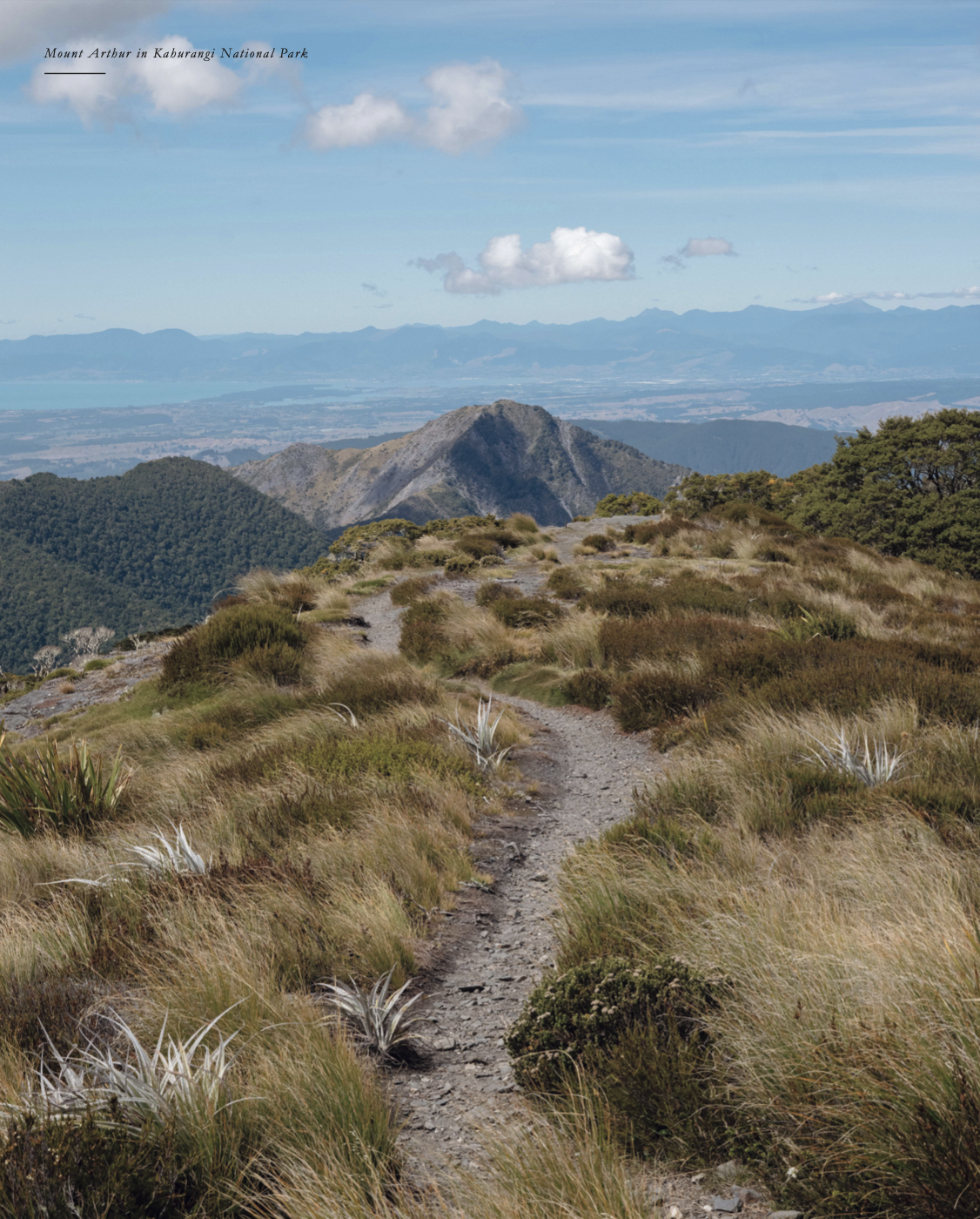 Screenshot 2026-02-12 at 16.56.58.png