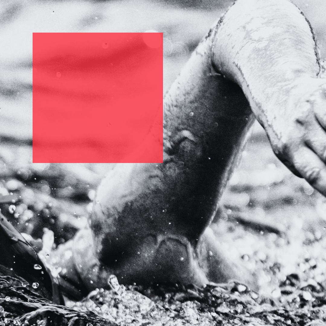 Effective Swimming: Keep it simple and leave the circus at home