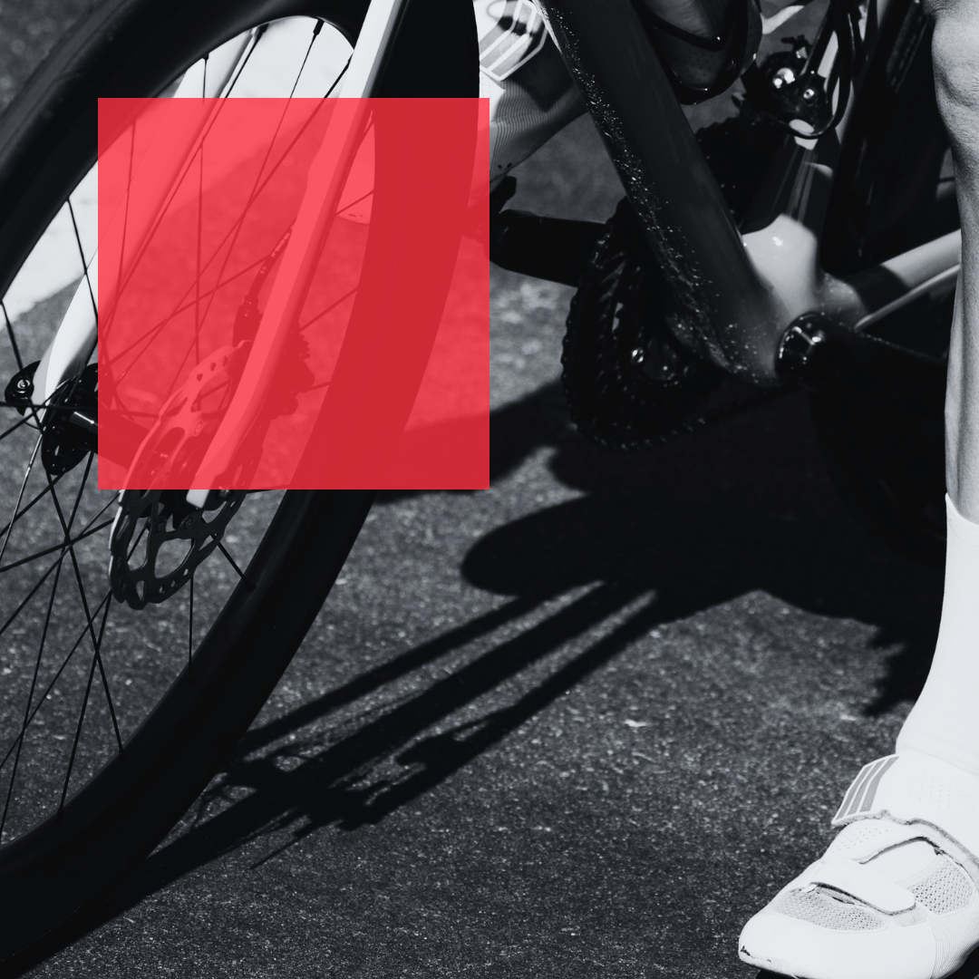 Alanis Siffert Won Roth With Principles You Can Use