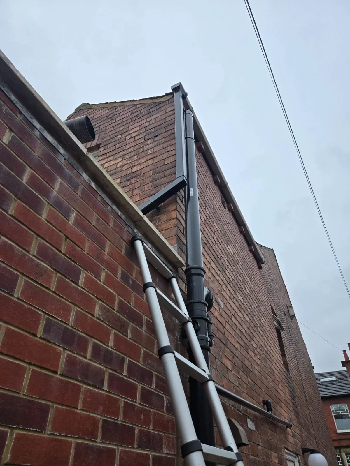 PHOTO-2026-03-29-18-37-16 (1).jpg