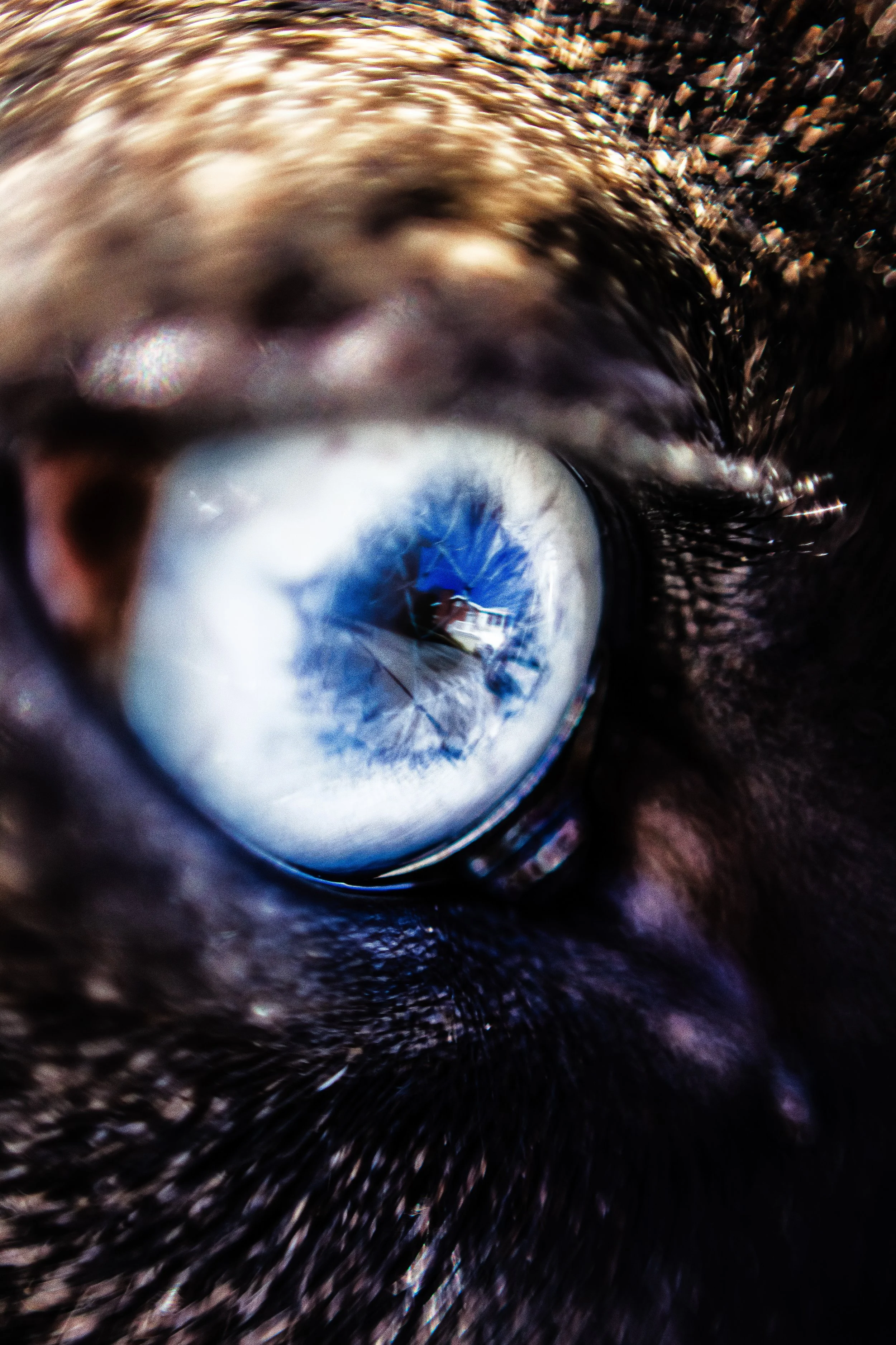 IMG_3870.jpeg