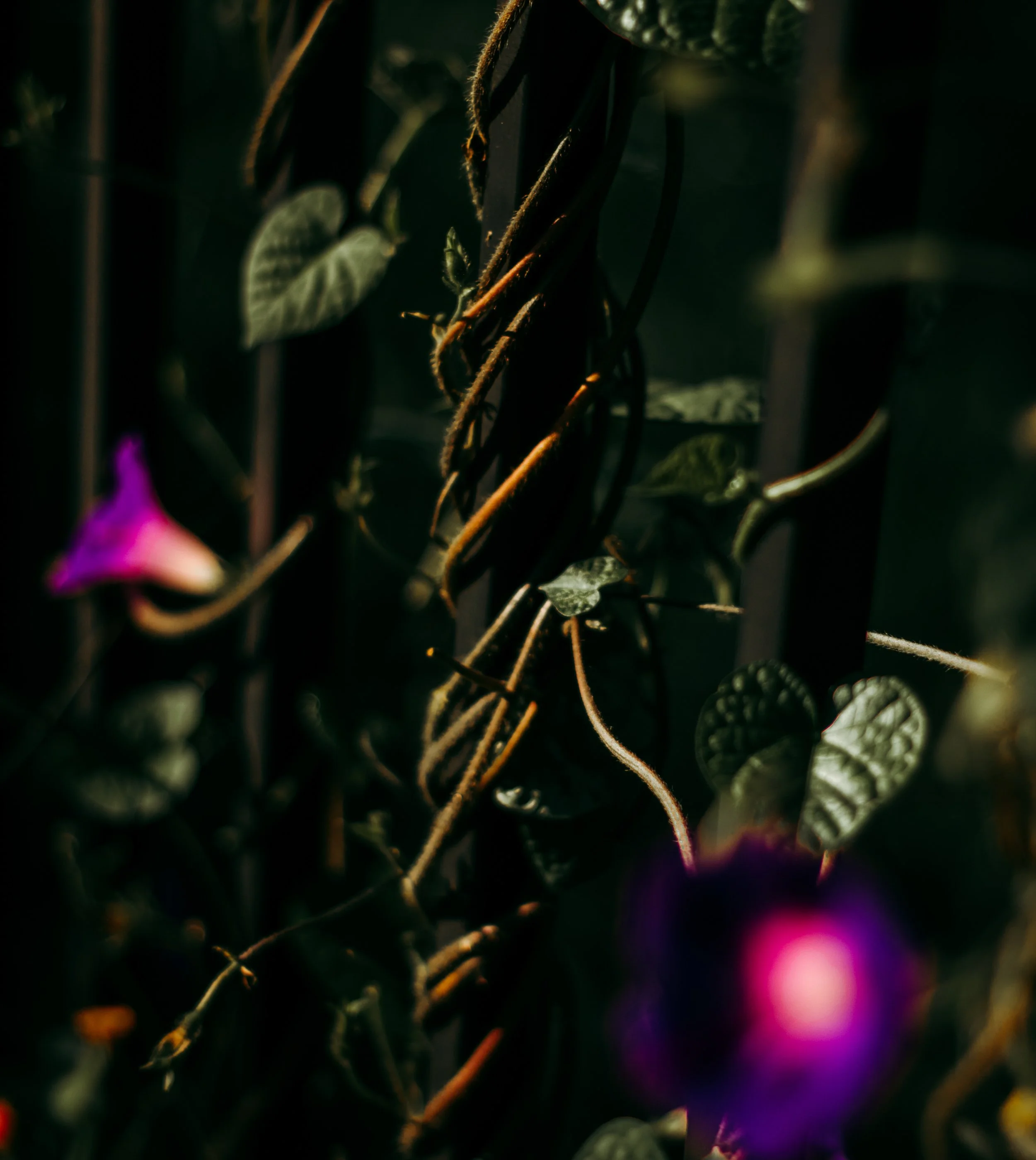 IMG_3751.jpeg
