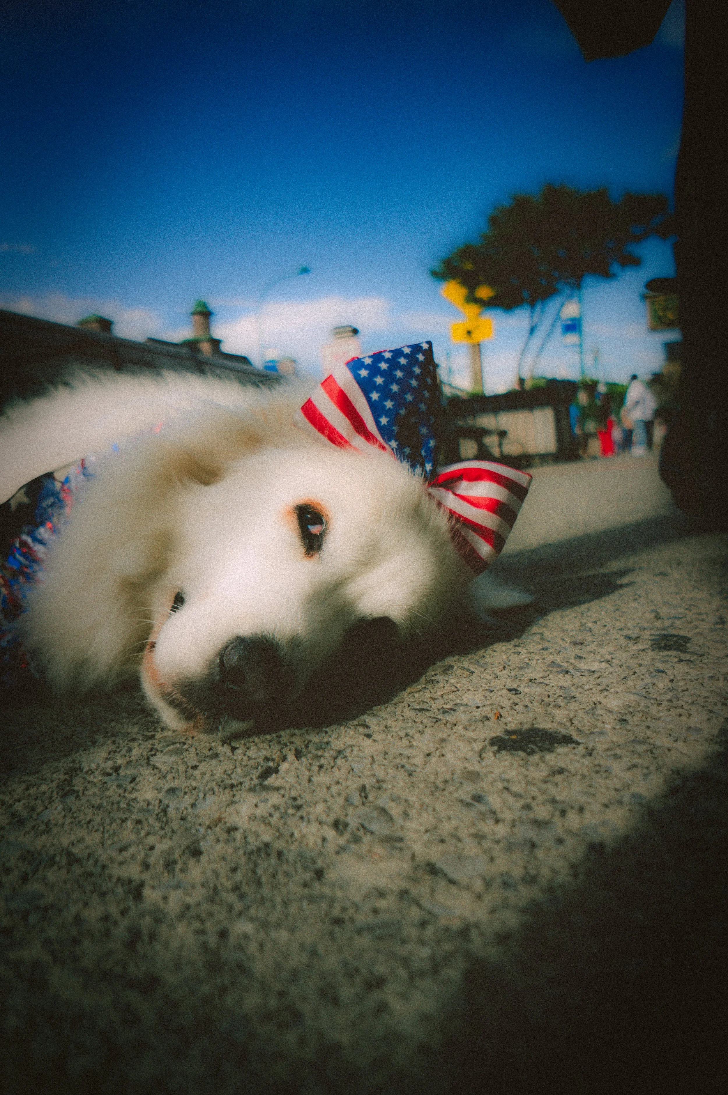 _DSC1077.jpeg
