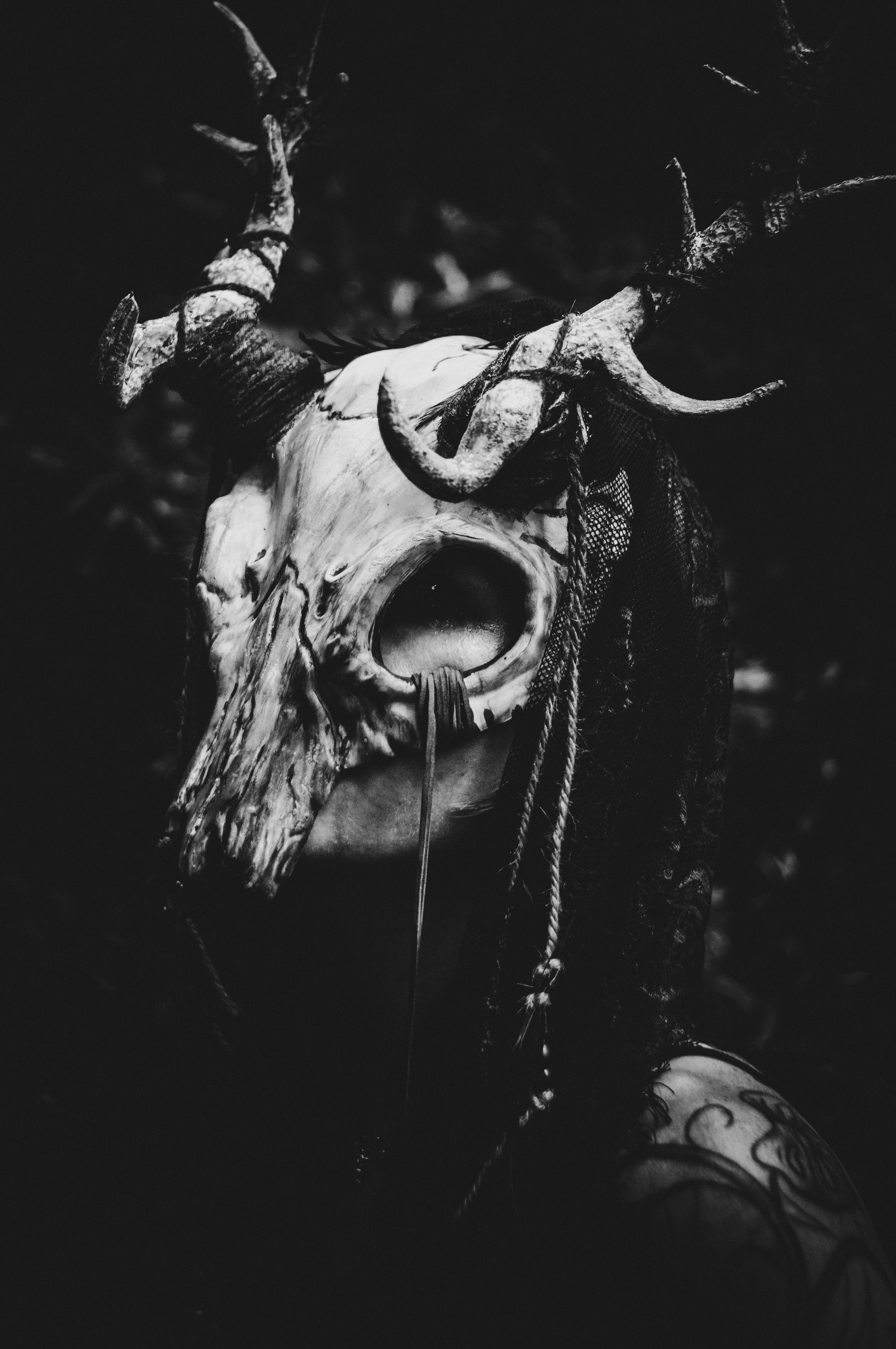 _DSC2910.jpeg