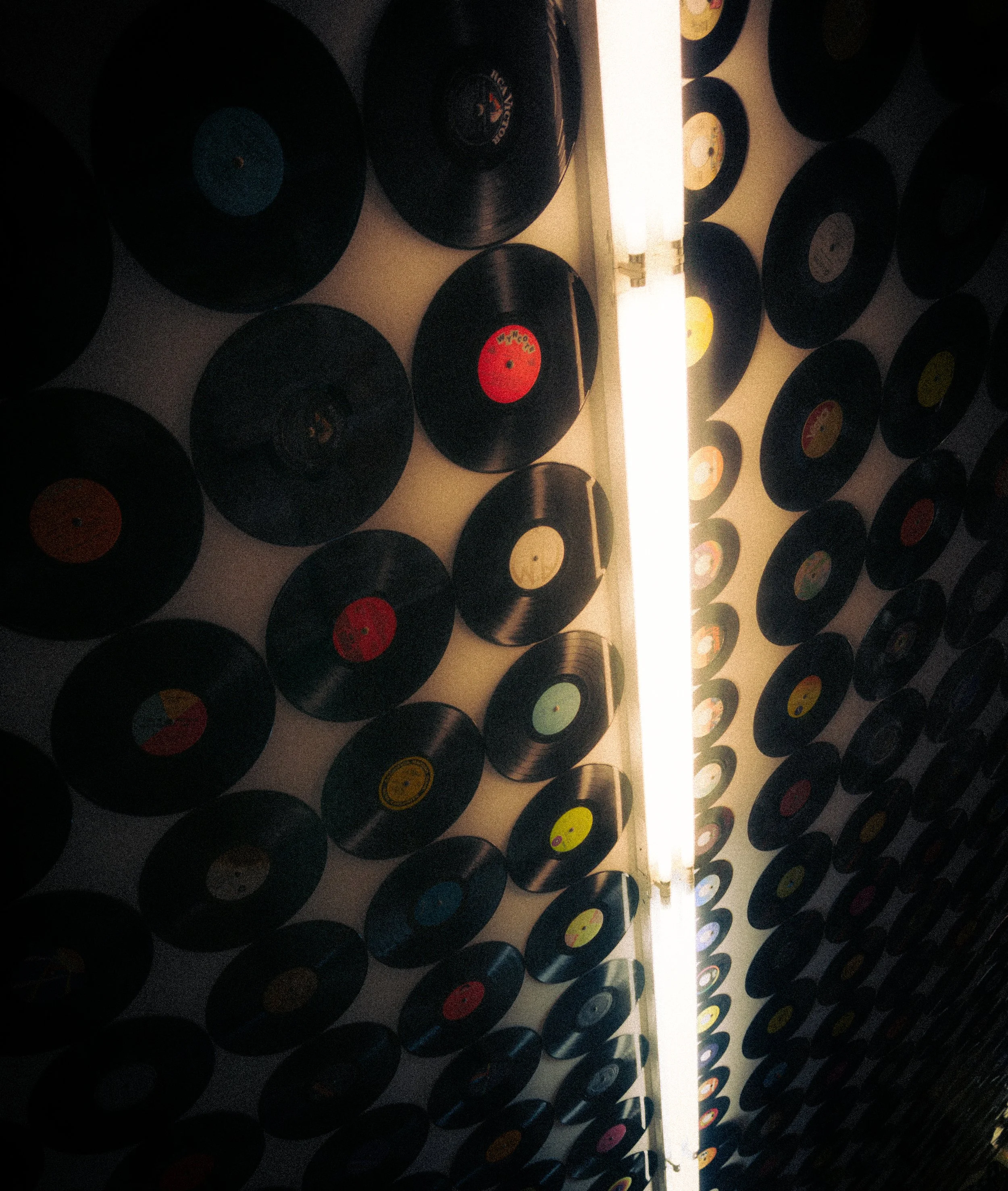 _DSC0132.jpeg