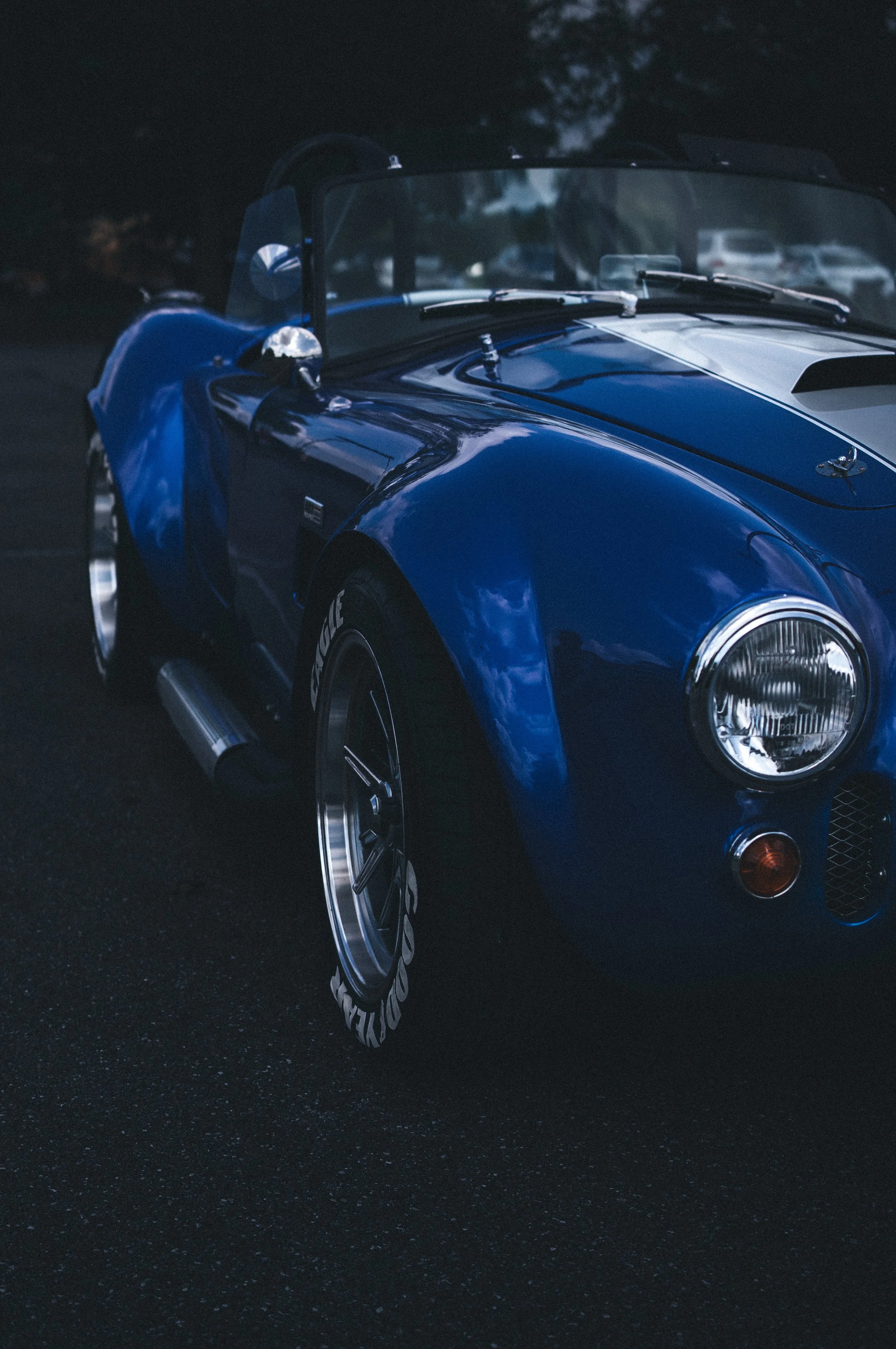 _DSC2913.jpeg