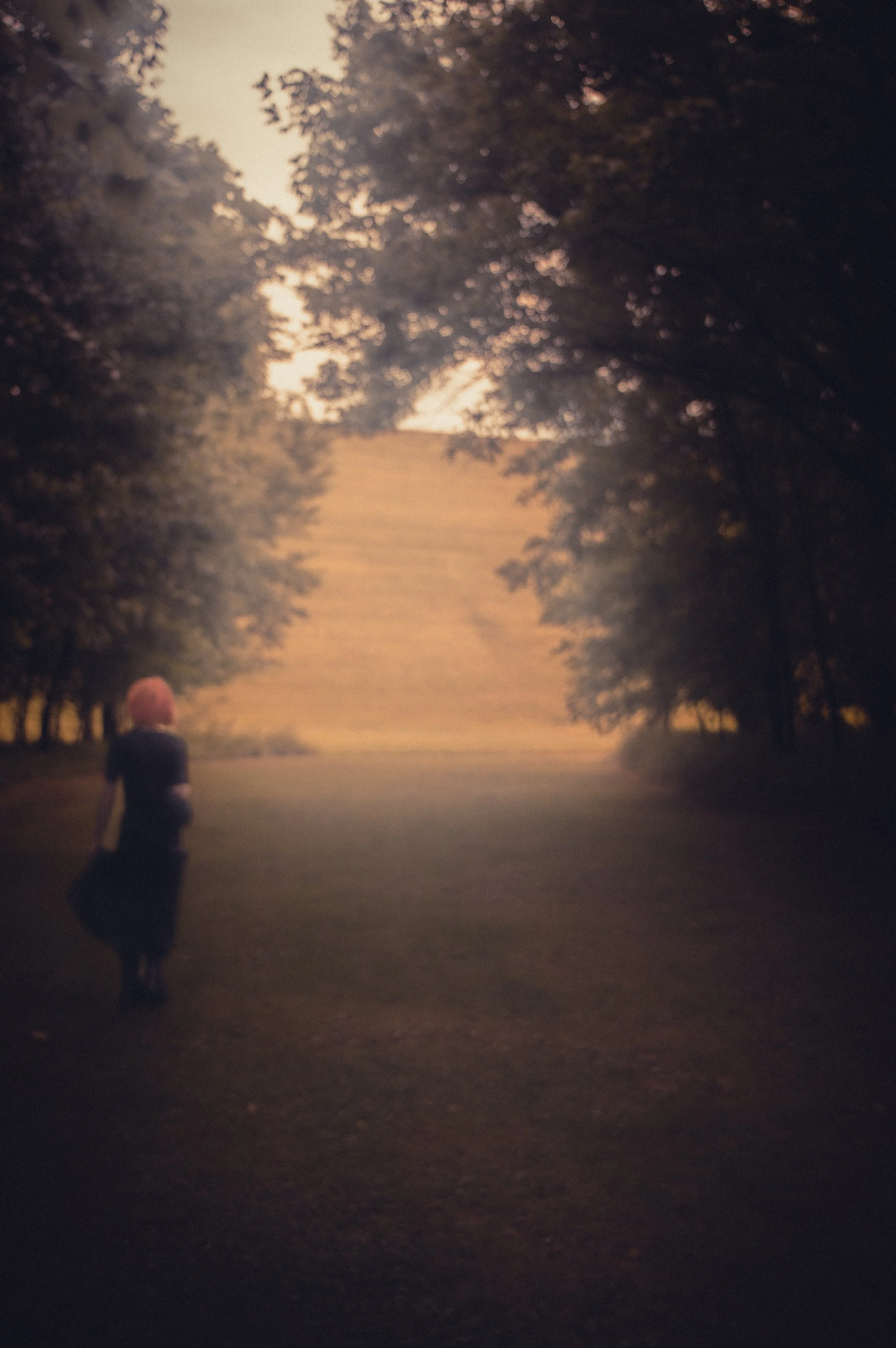 _DSC1544.jpeg