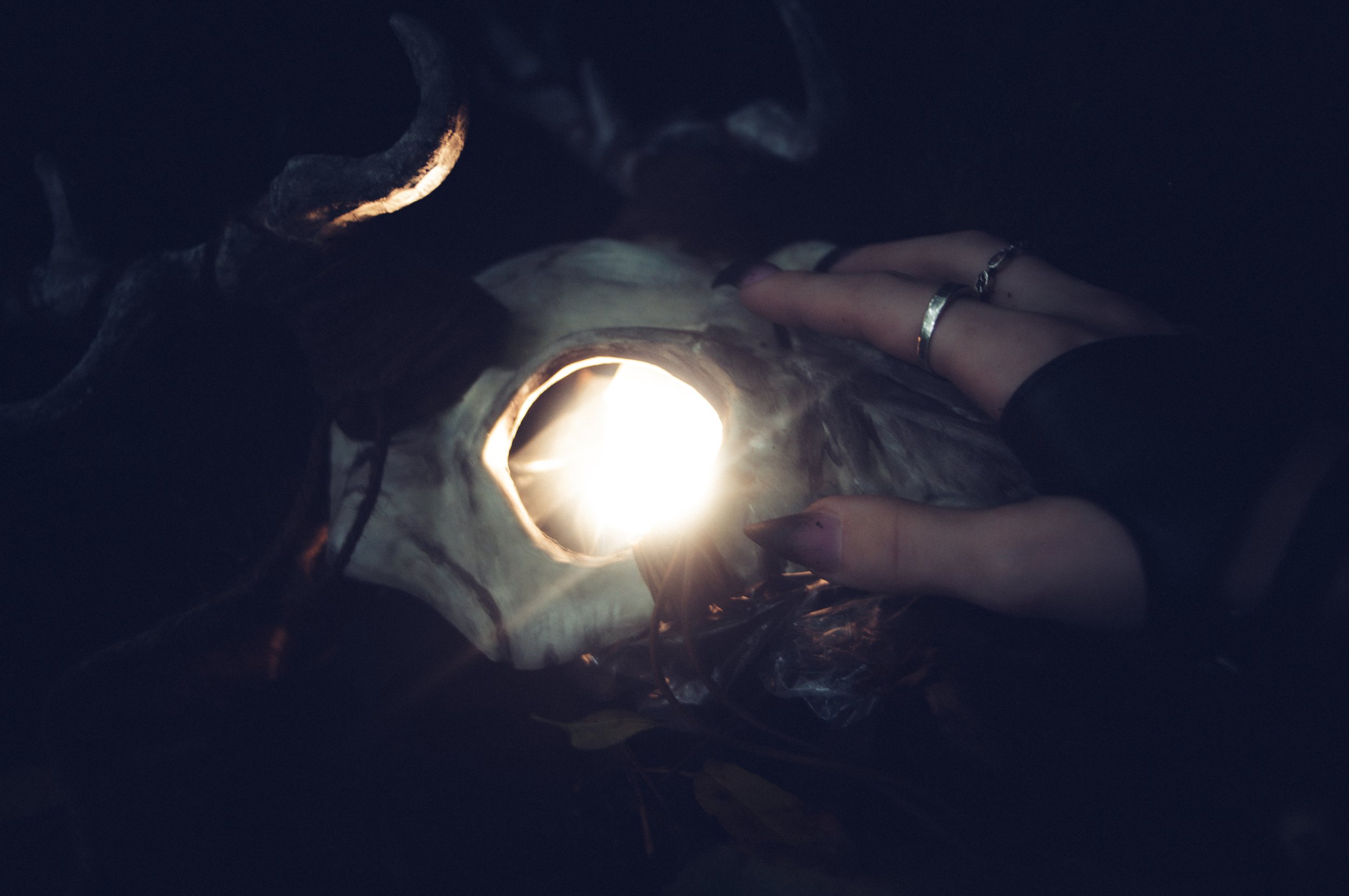 _DSC2931.jpeg