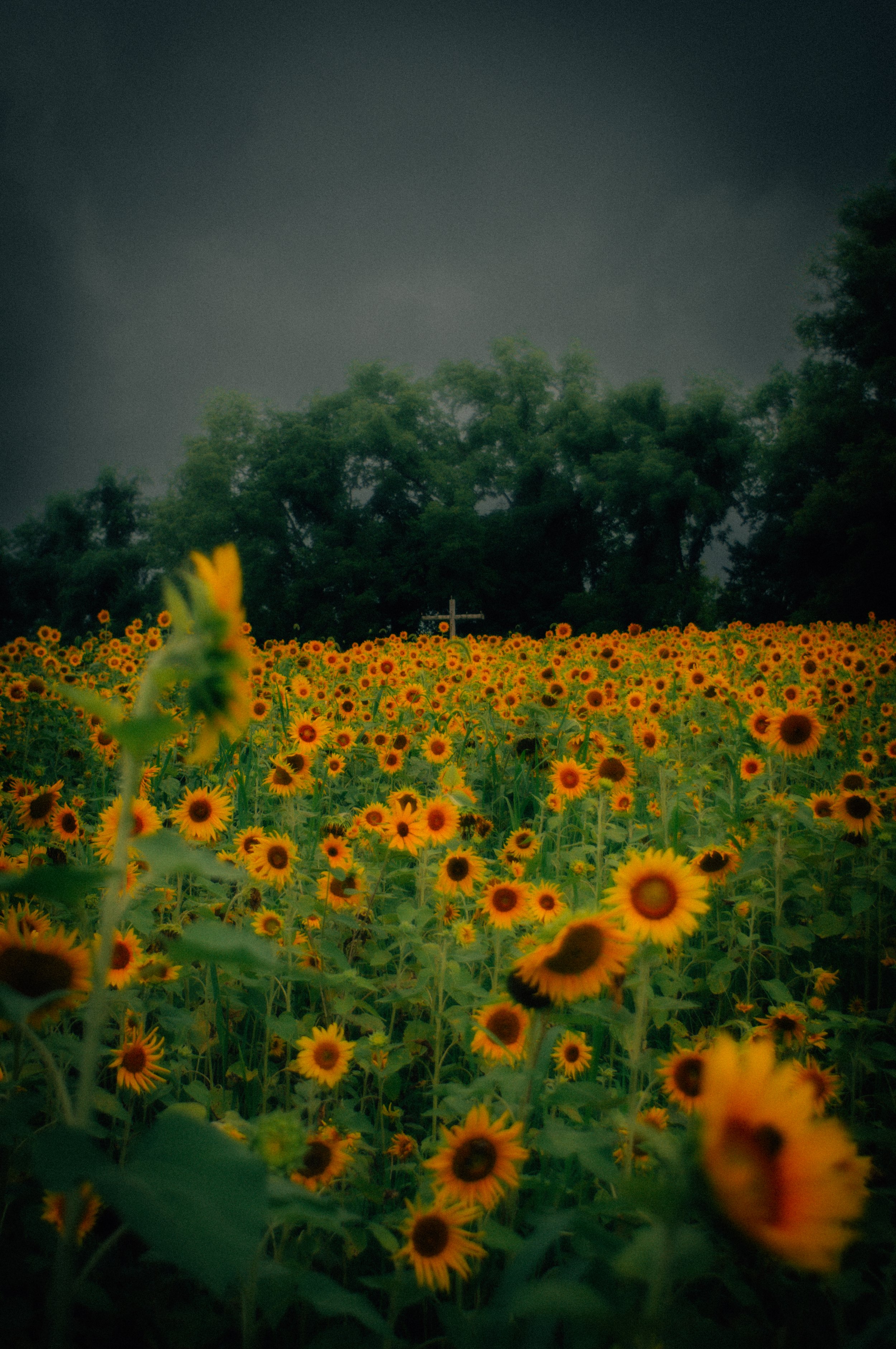 _DSC2430.jpeg
