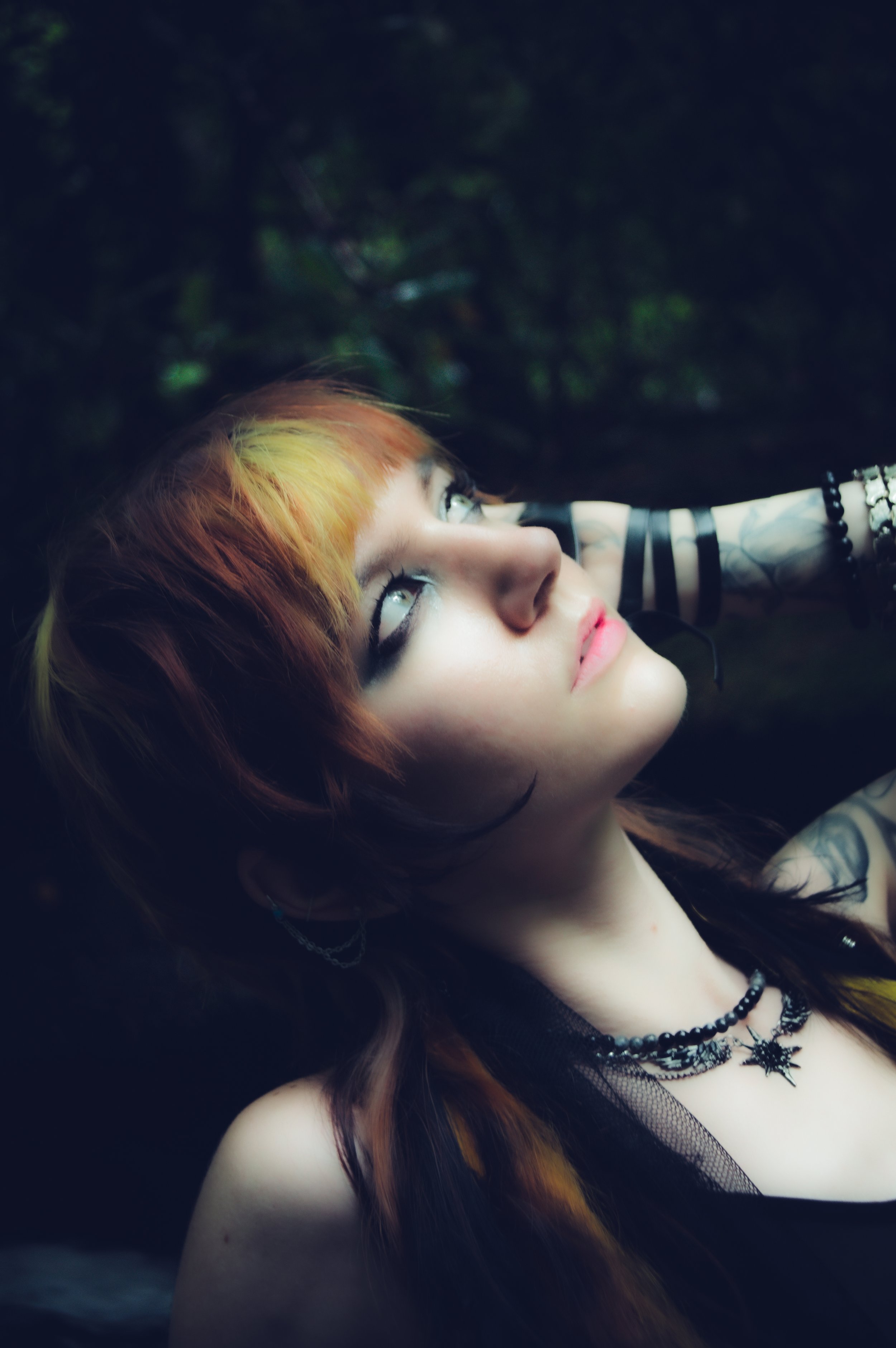 _DSC2954.jpeg