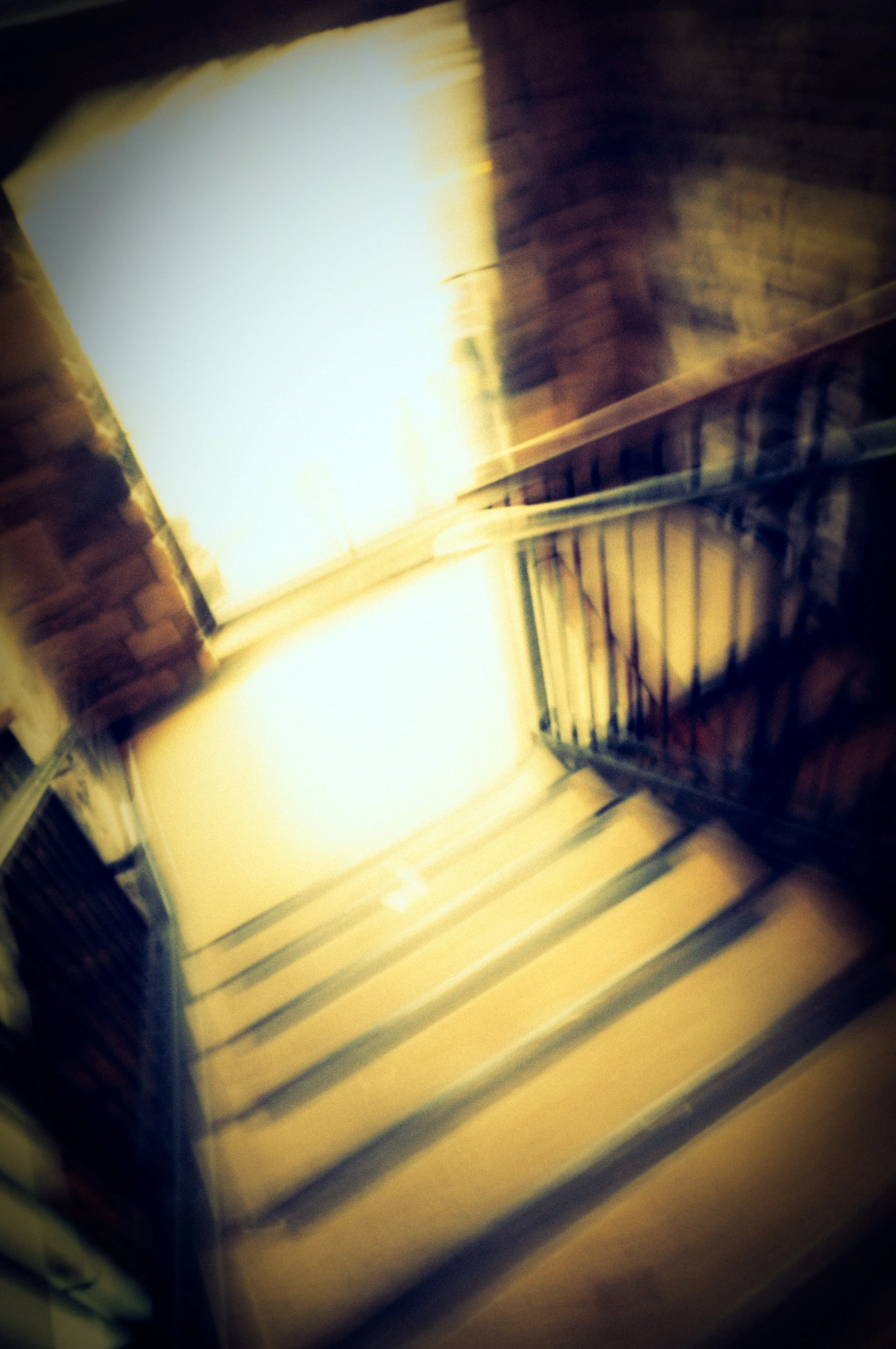 _DSC0975.jpeg