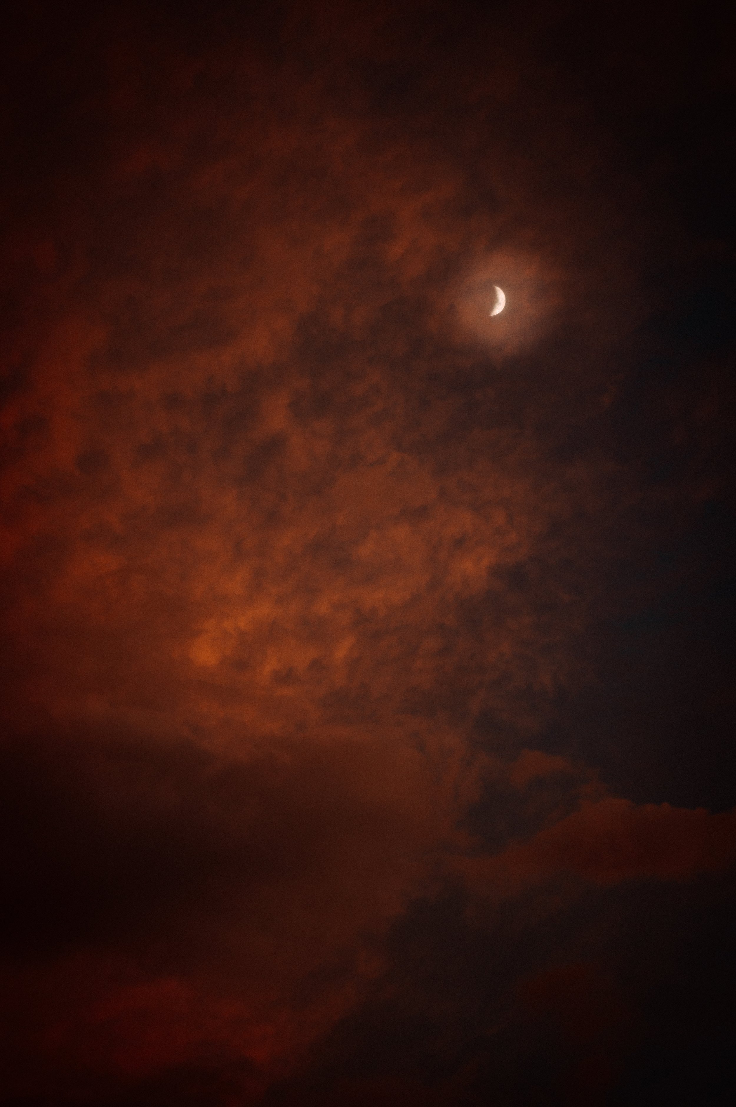 _DSC2446.jpeg