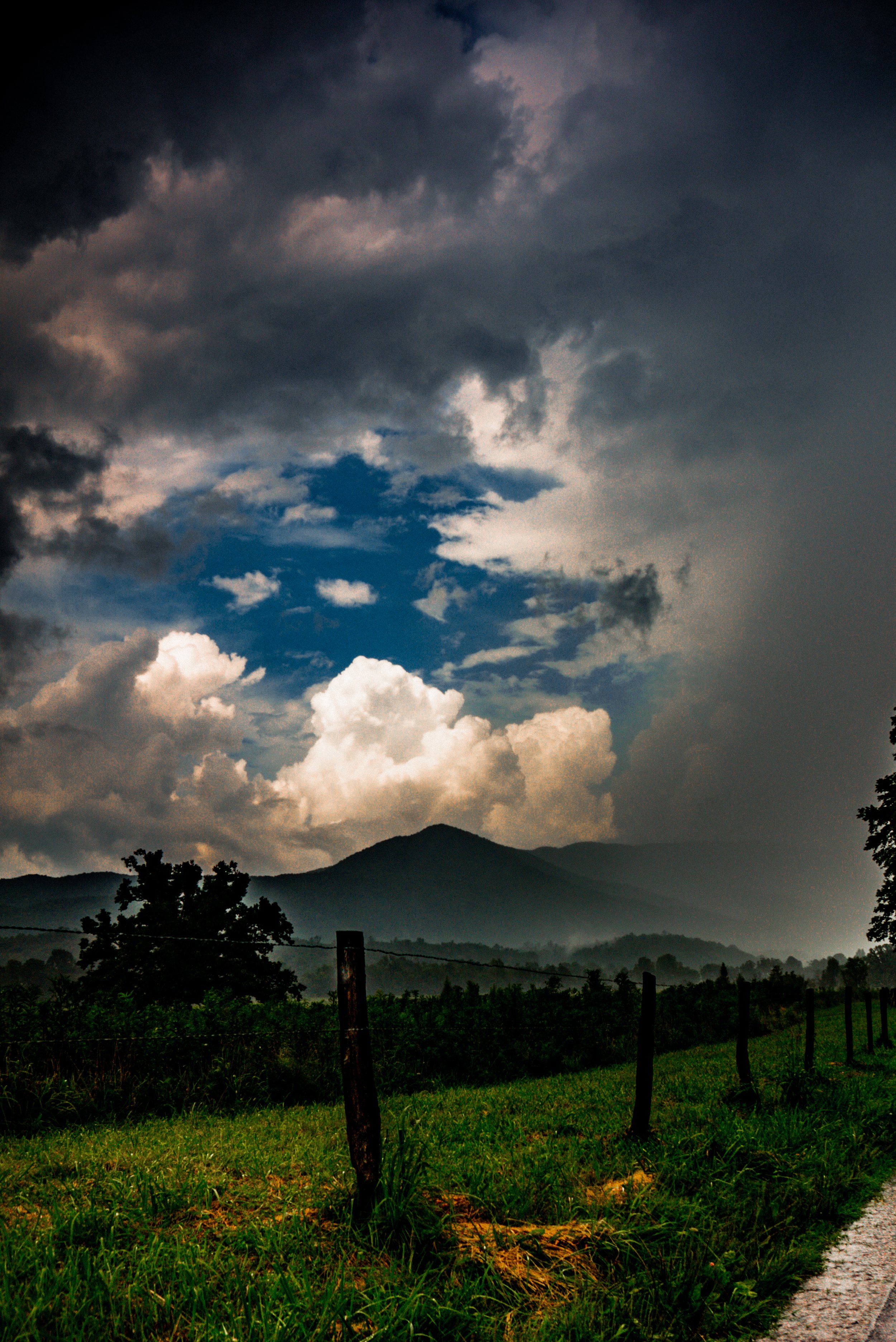 _DSC2869.jpeg
