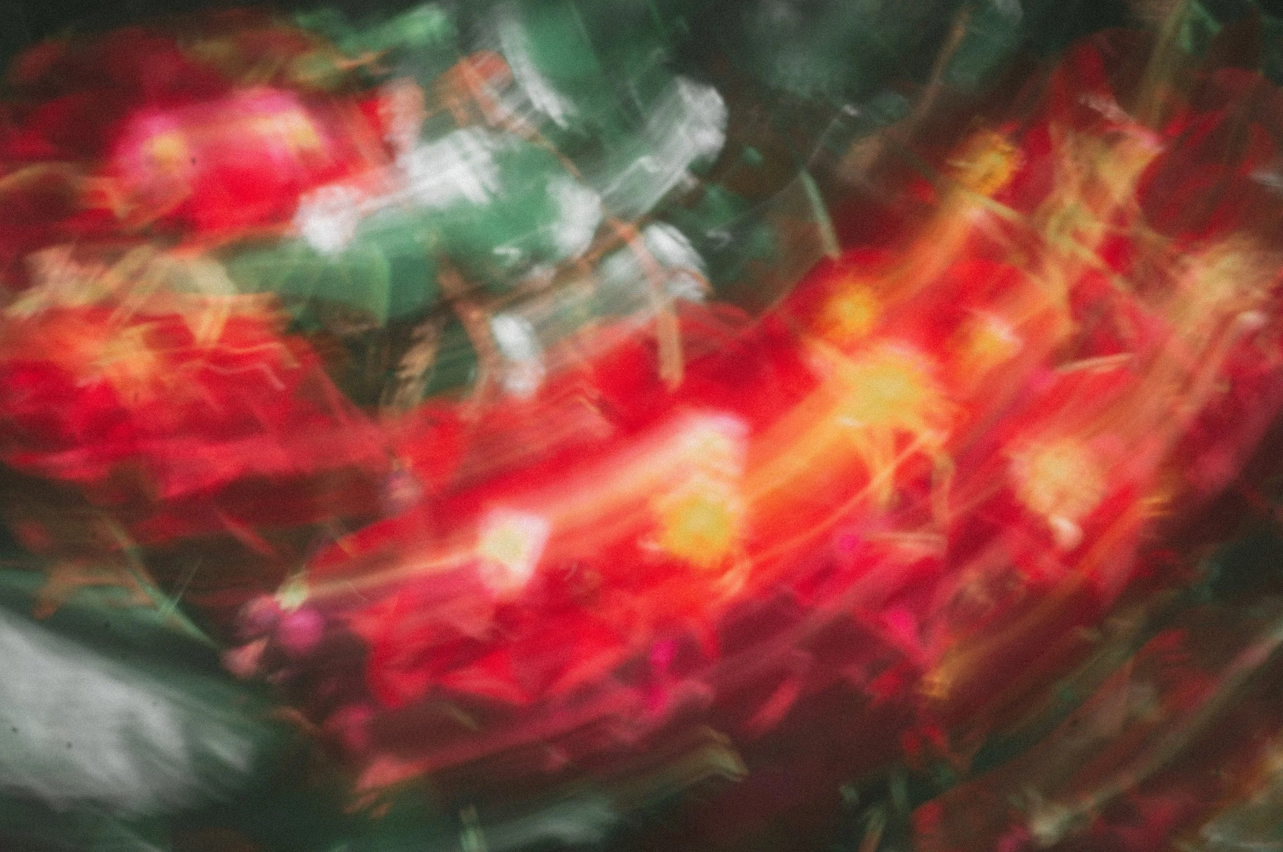 _DSC0481.jpeg