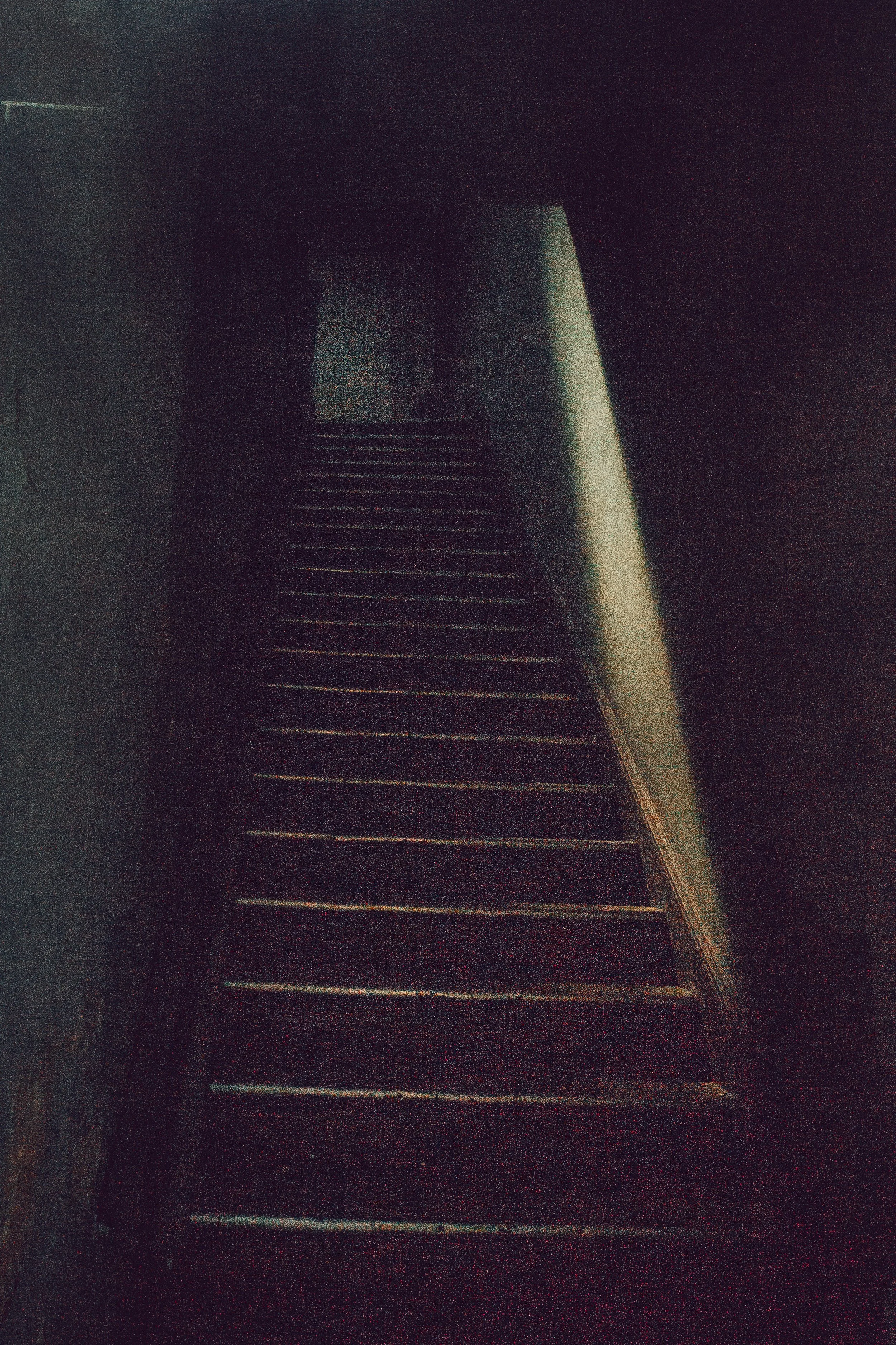 _DSC1612.jpeg