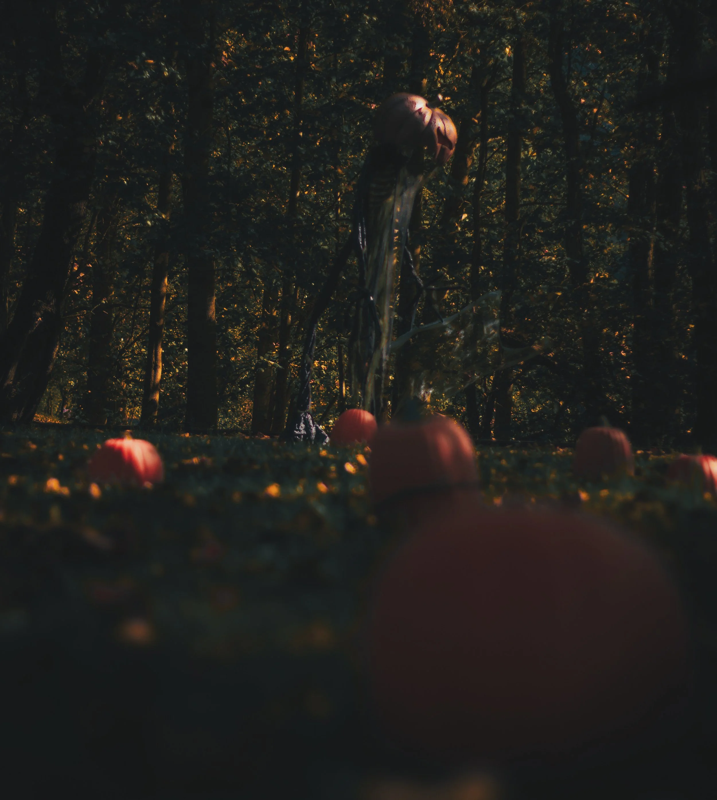 21E2B6BE-7670-43BA-8DE4-C19B4FF892D4.jpeg