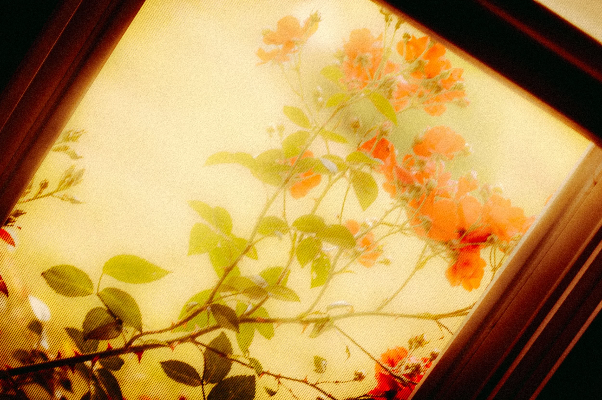 _DSC1491.jpeg