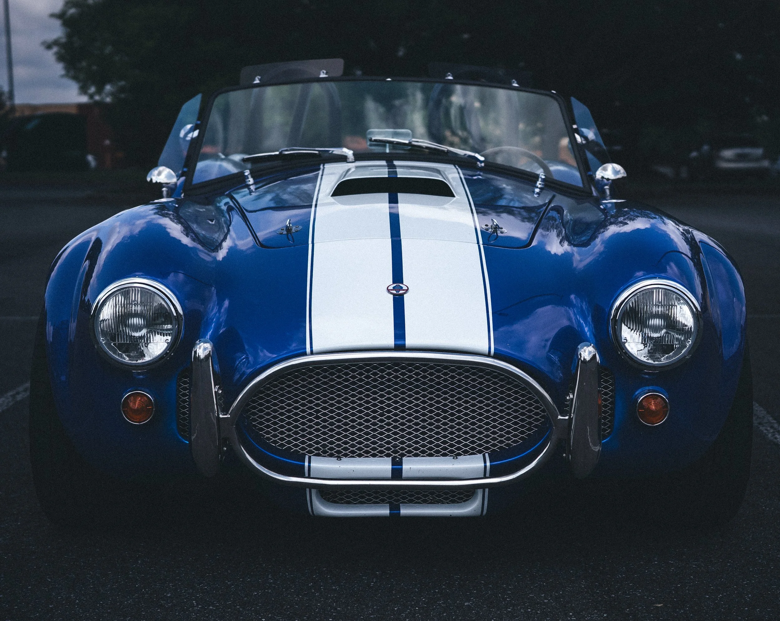 _DSC2920.jpeg
