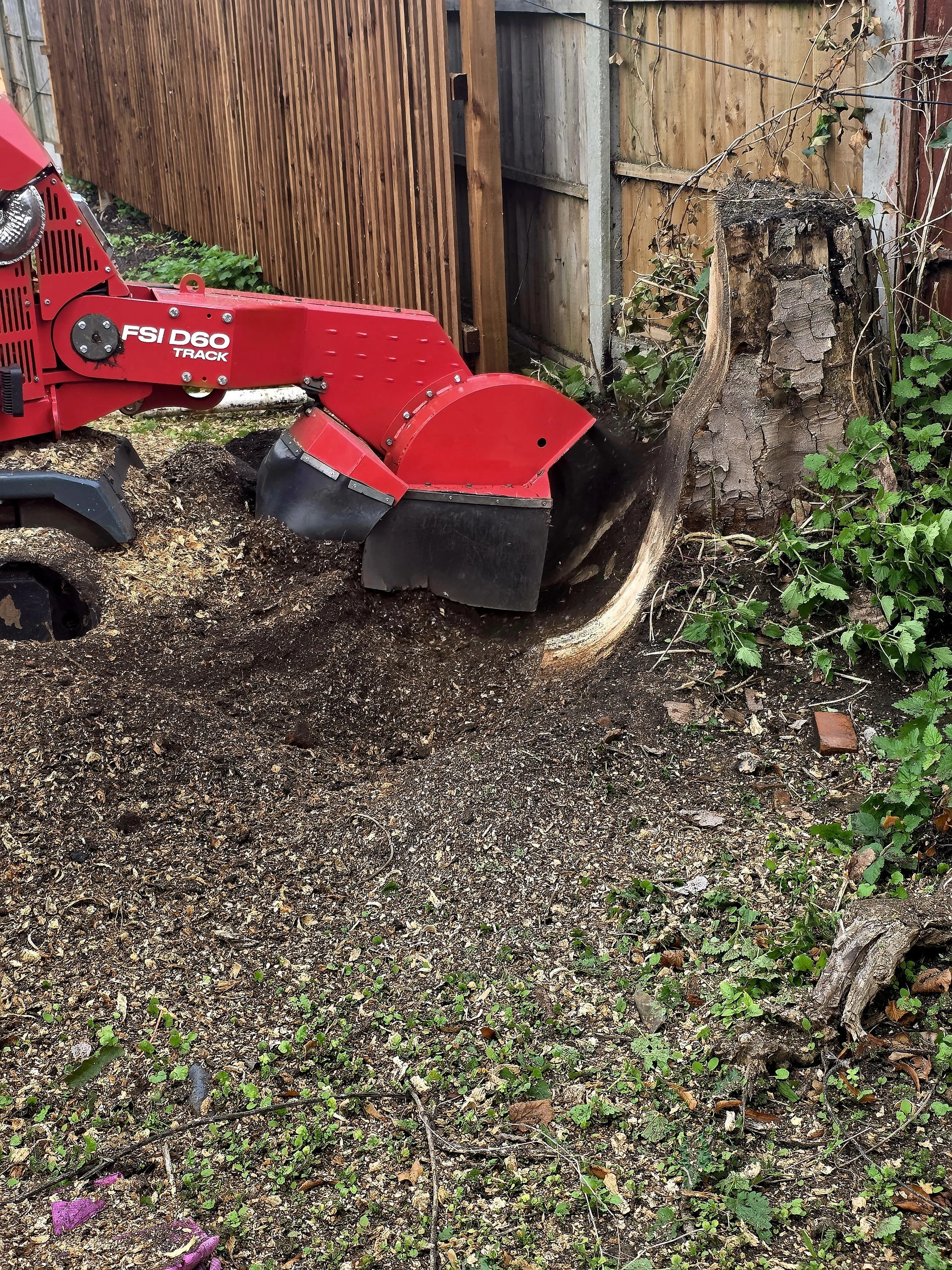 A red wood chipping machine working on a fallen tree trunk, surrounded by dirt, small plants, and a wooden fence in the background.