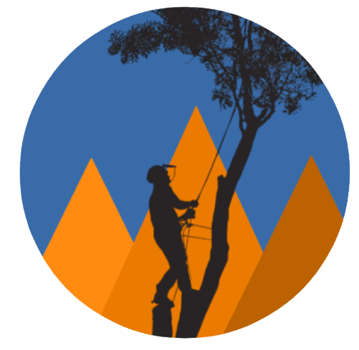 Silhouette of a person climbing a tree with hills and a blue sky in the background.