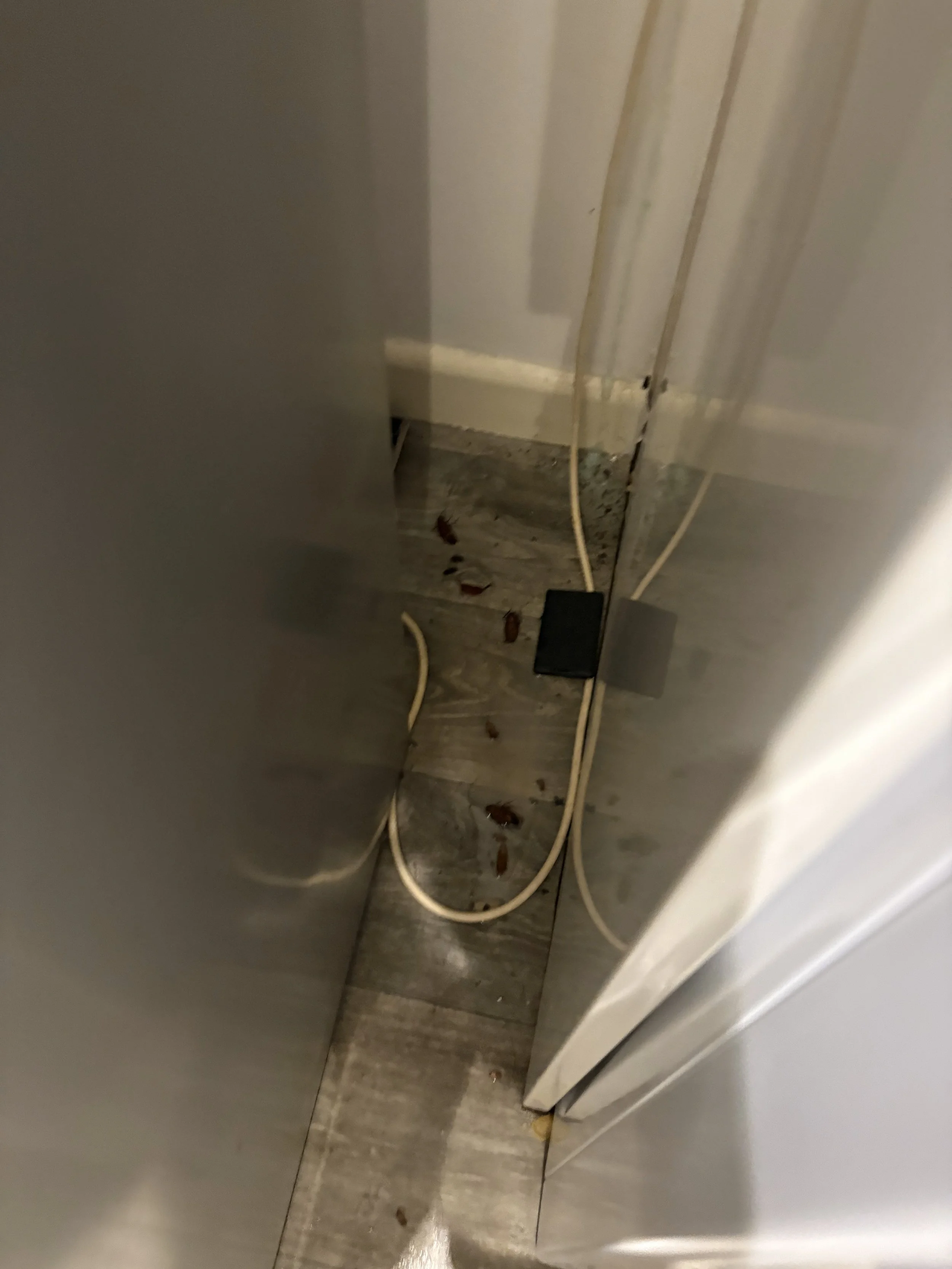 Dirty floor with dead bugs and electrical cords in a corner