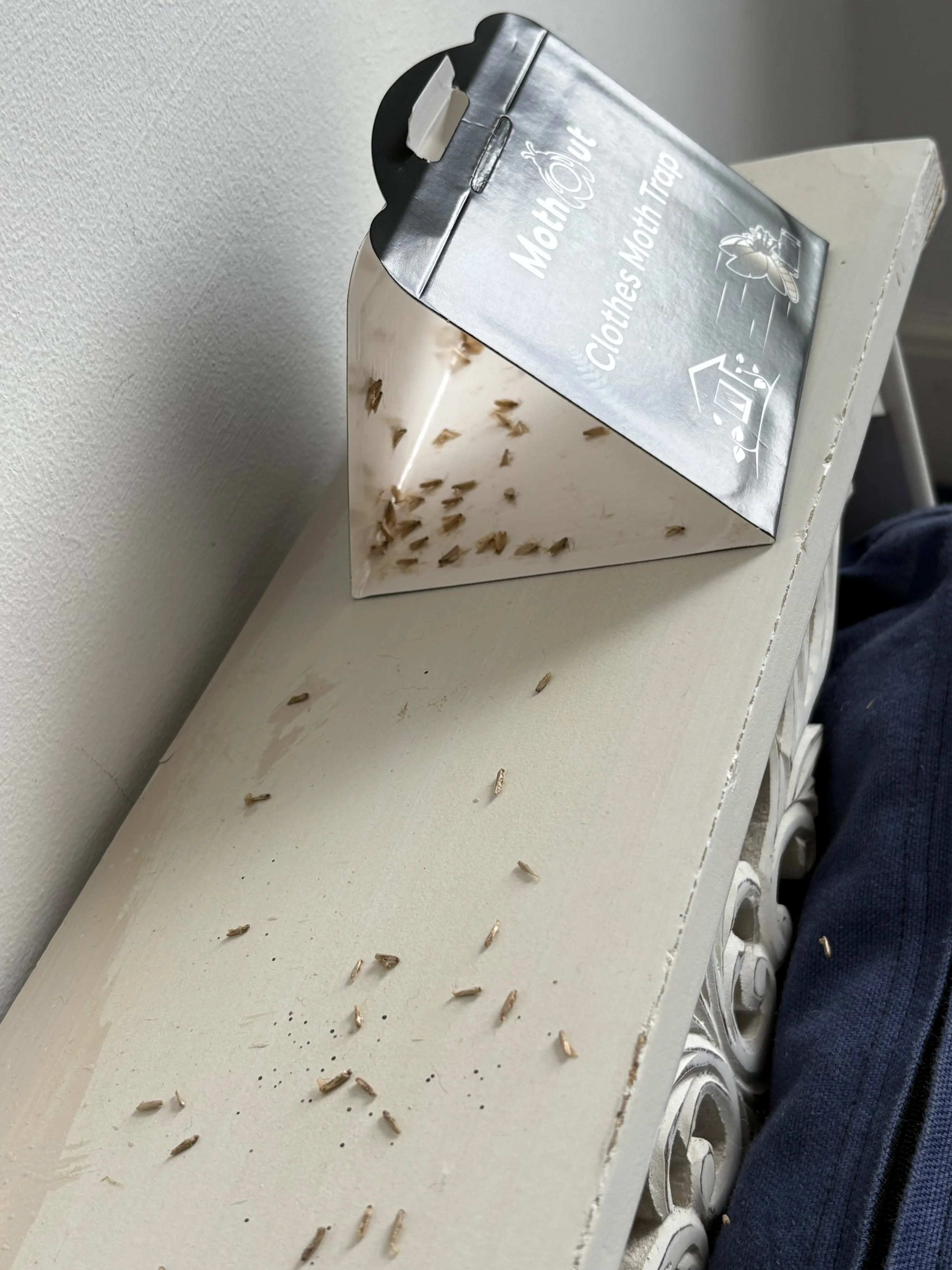 A white table with many dead bed bugs scattered on the surface, an empty bed bug trap, and a silver container labeled 'MothOut Clothes Moth Trap' leaning against the wall.