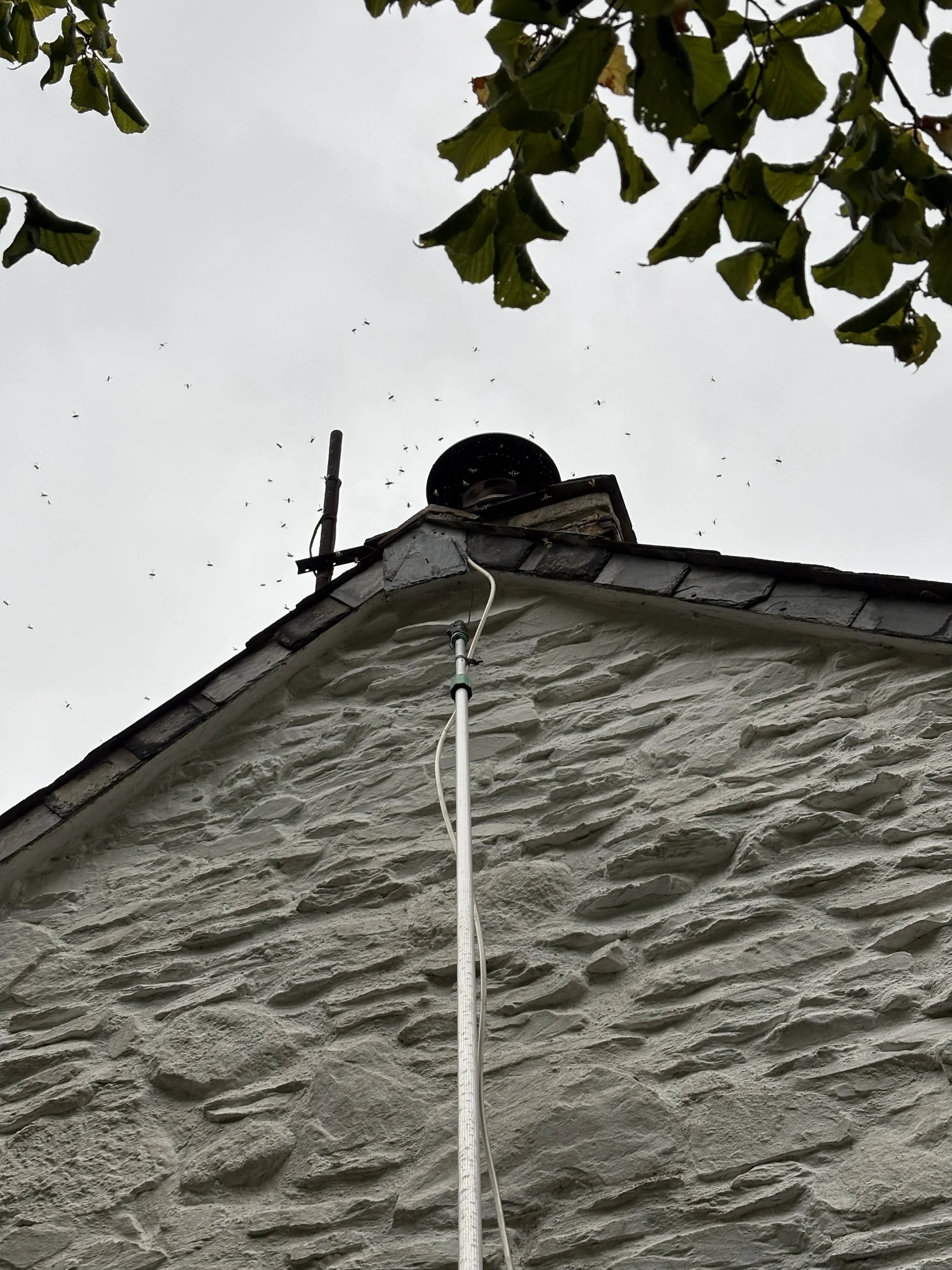 Looking up at the corner of a stone house's roof, showing a treated hornets nest.