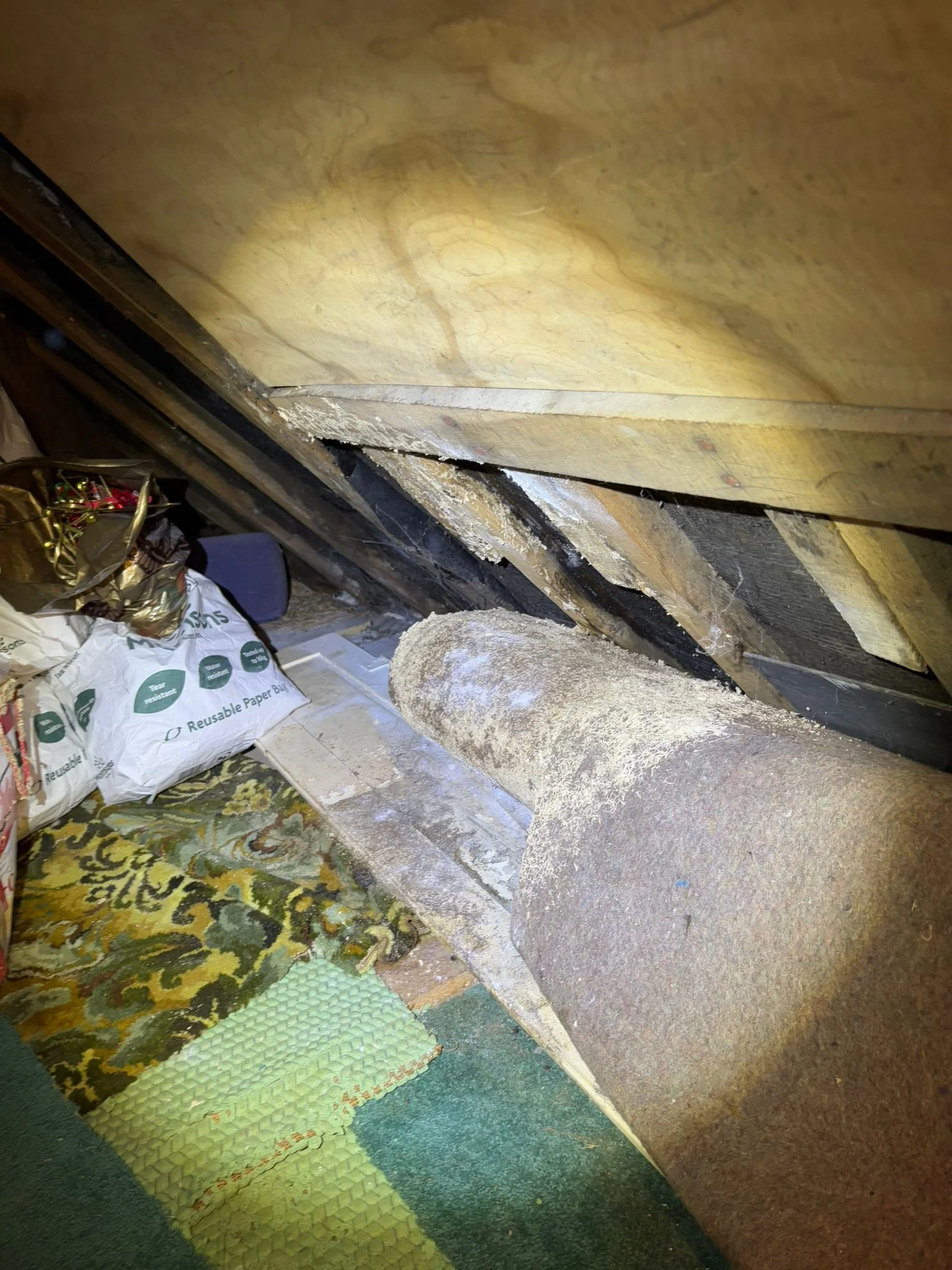 View of a crawl space with insulation, a pipe, and nearby household items on a patterned carpet.
