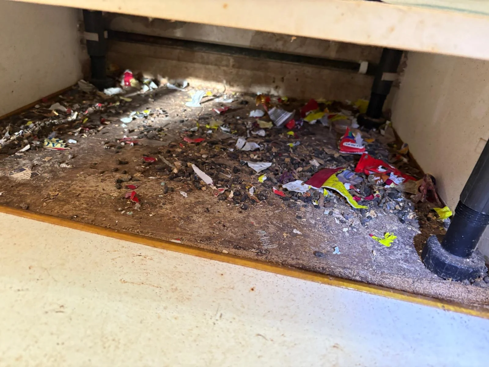 Dirty under kitchen plinths with rat droppings.