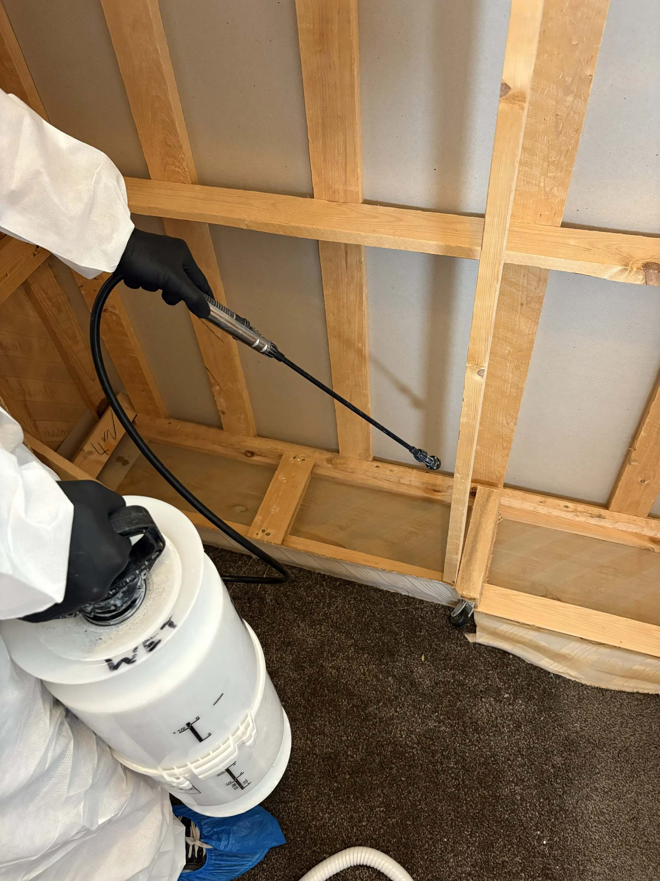 Person wearing protective gloves spraying a liquid onto wooden framed bed for bed bugs.
