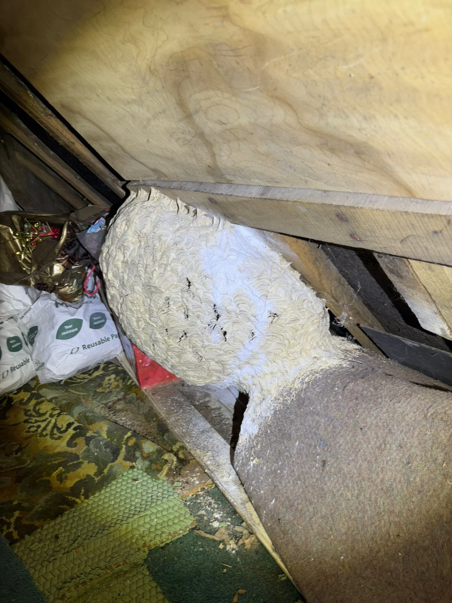 A wasp nest attached to a wooden surface above a cluttered floor area.