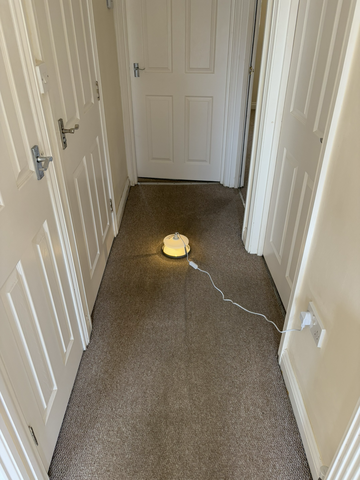 A small round yellow night light plugged into a power outlet in a hallway, illuminating the carpeted floor.